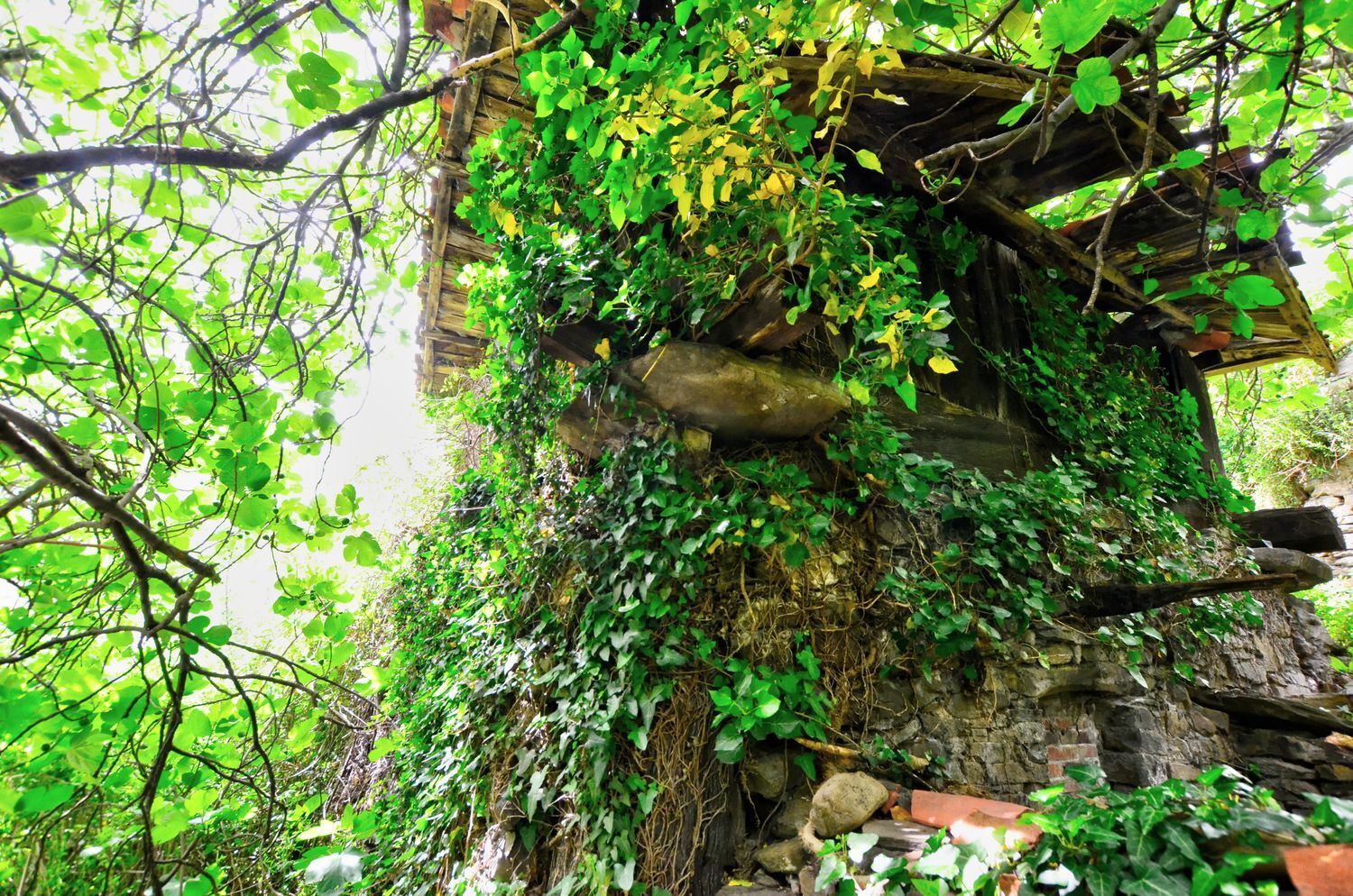 Casas o chalets-Venta-Mieres-1723333-Foto-12