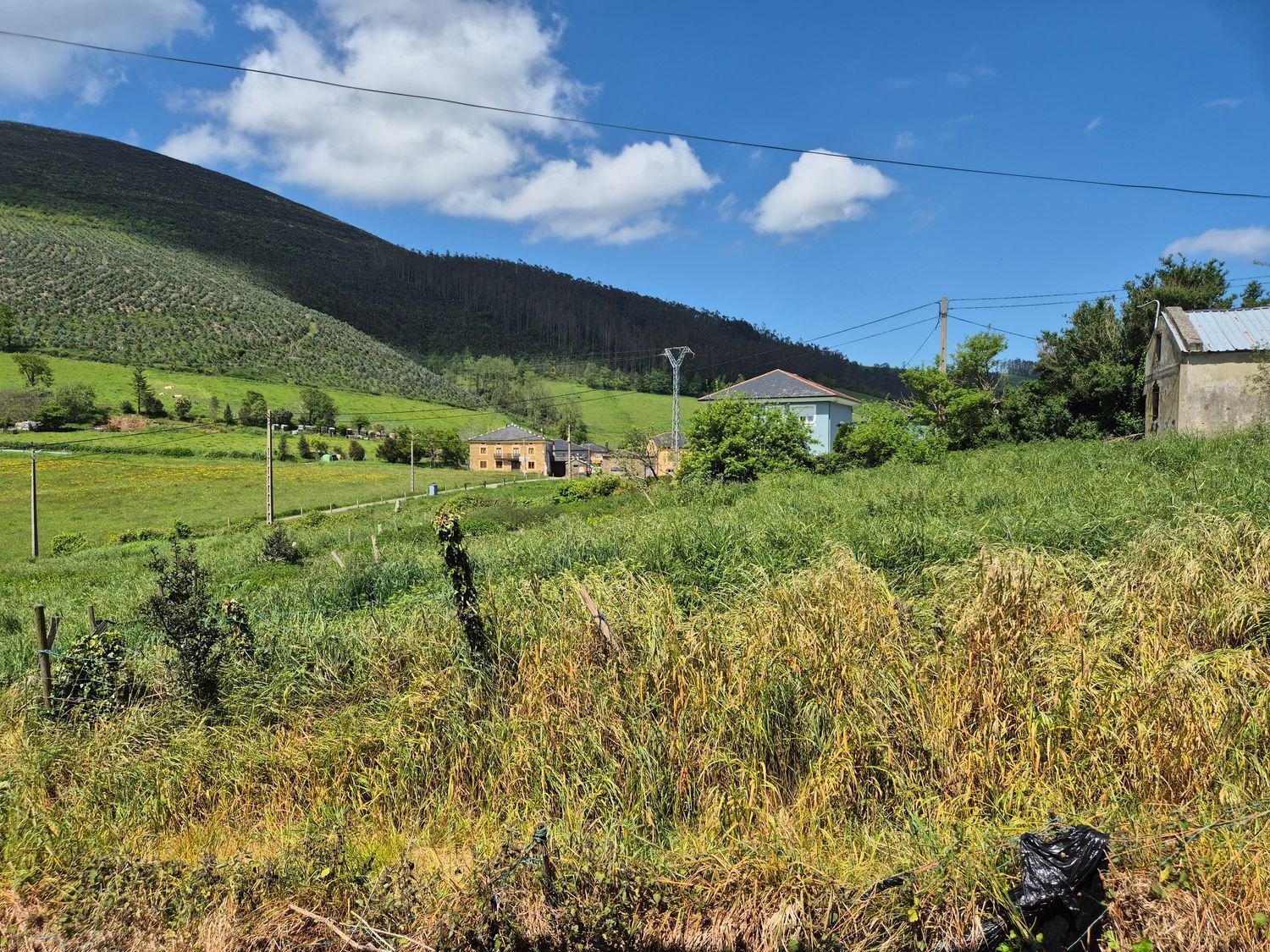 Casas o chalets-Venta-Vegadeo-1831224-Foto-59