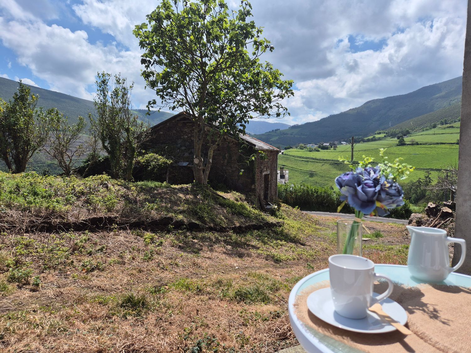 Casas o chalets-Venta-Vegadeo-1831224-Foto-60