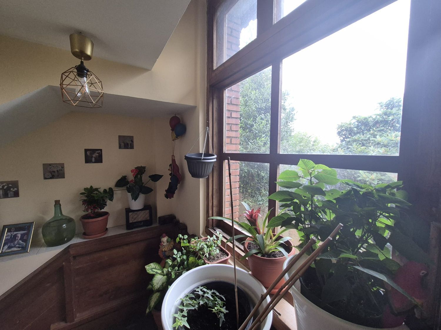 Casas o chalets-Venta-GijÃ³n-1942385-Foto-37