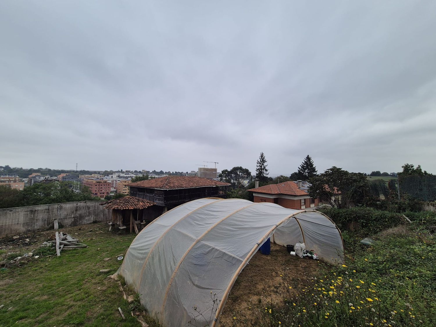 Casas o chalets-Venta-GijÃ³n-1942385-Foto-91