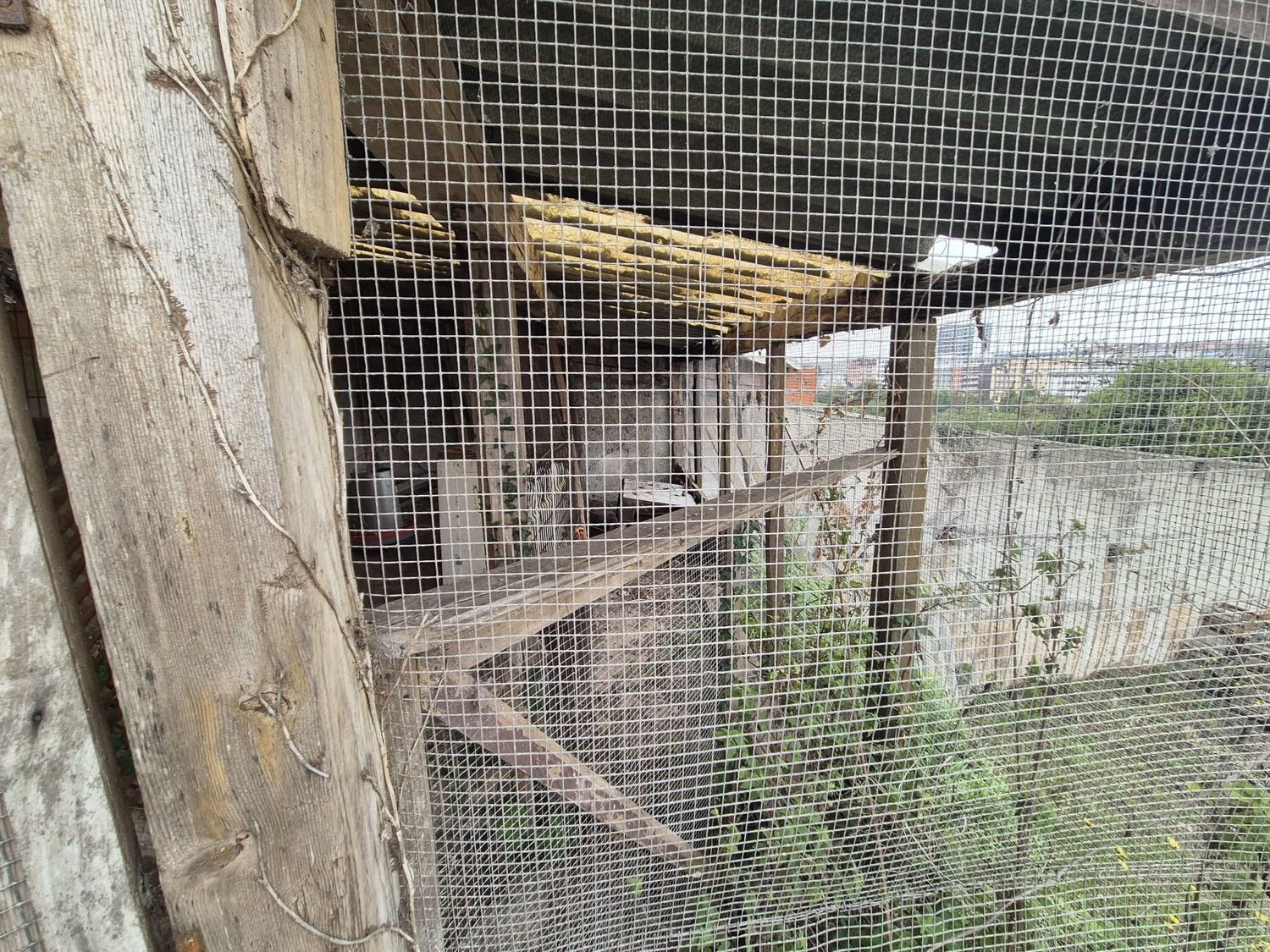 Casas o chalets-Venta-GijÃ³n-1942385-Foto-111