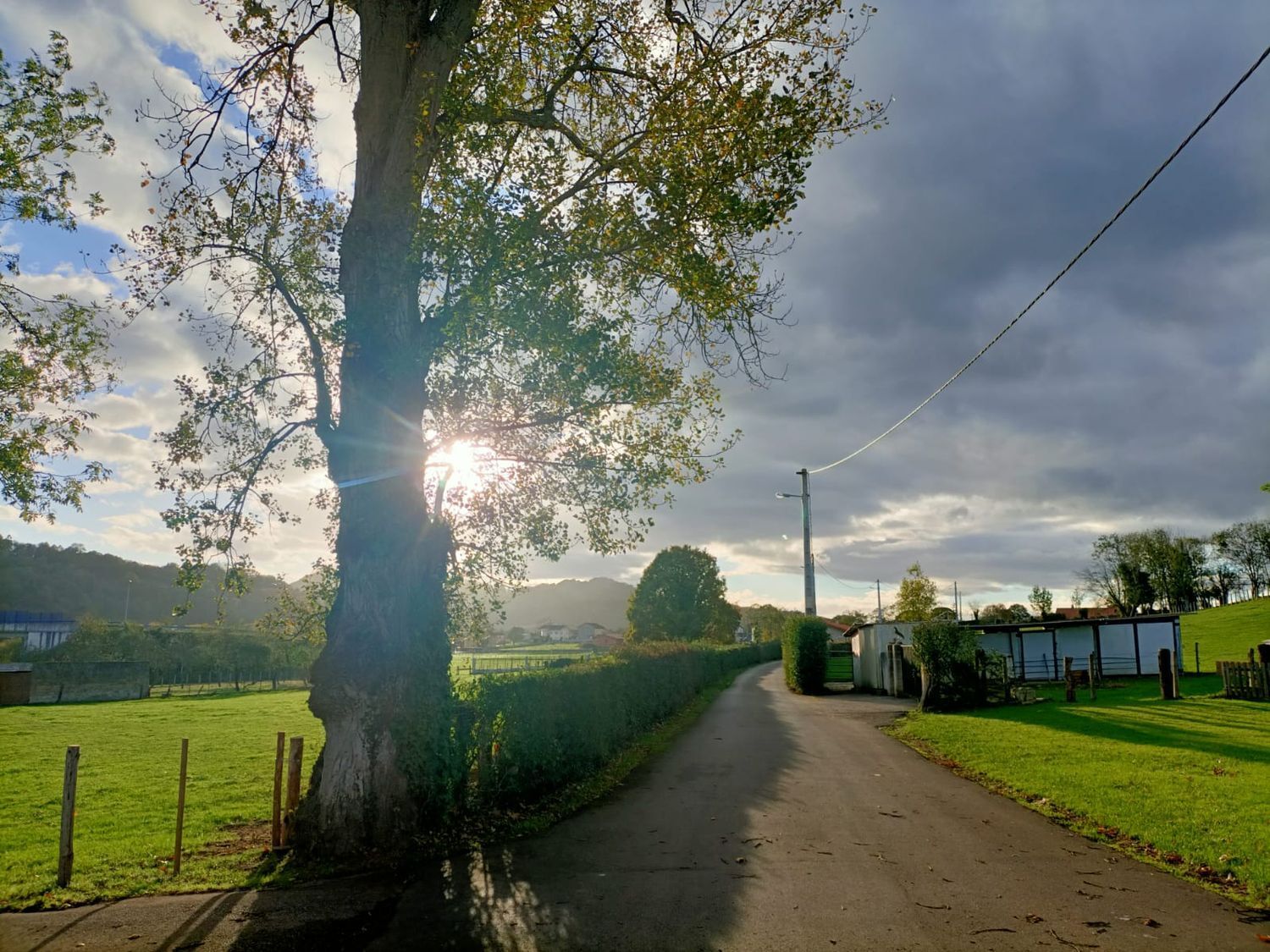 Casas o chalets-Venta-Siero-1976073-Foto-64