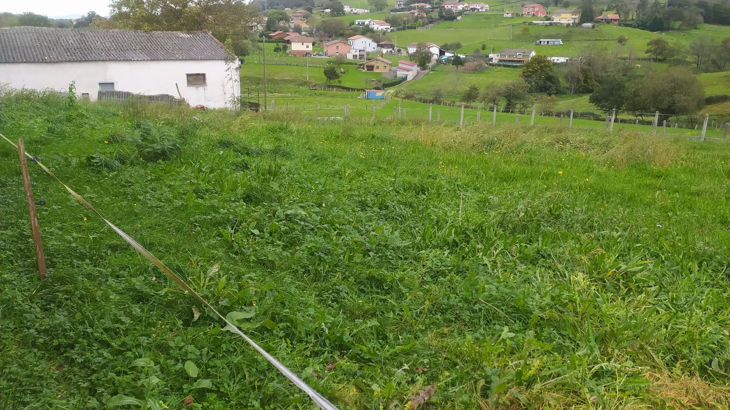 Casas o chalets-Venta-Las Navas del MarquÃ©s-999067-Foto-62