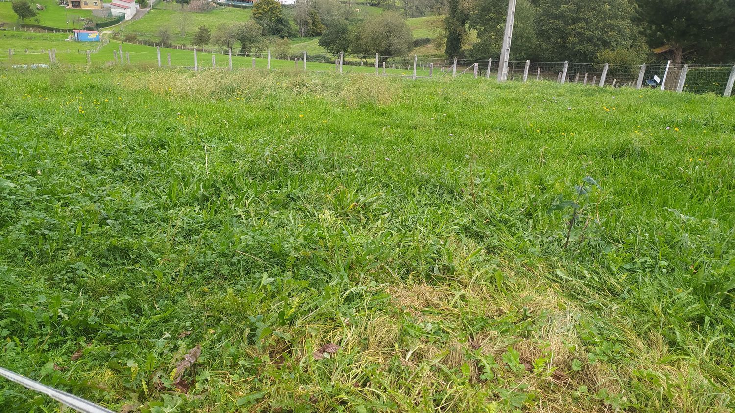 Casas o chalets-Venta-Las Navas del MarquÃ©s-999067-Foto-63