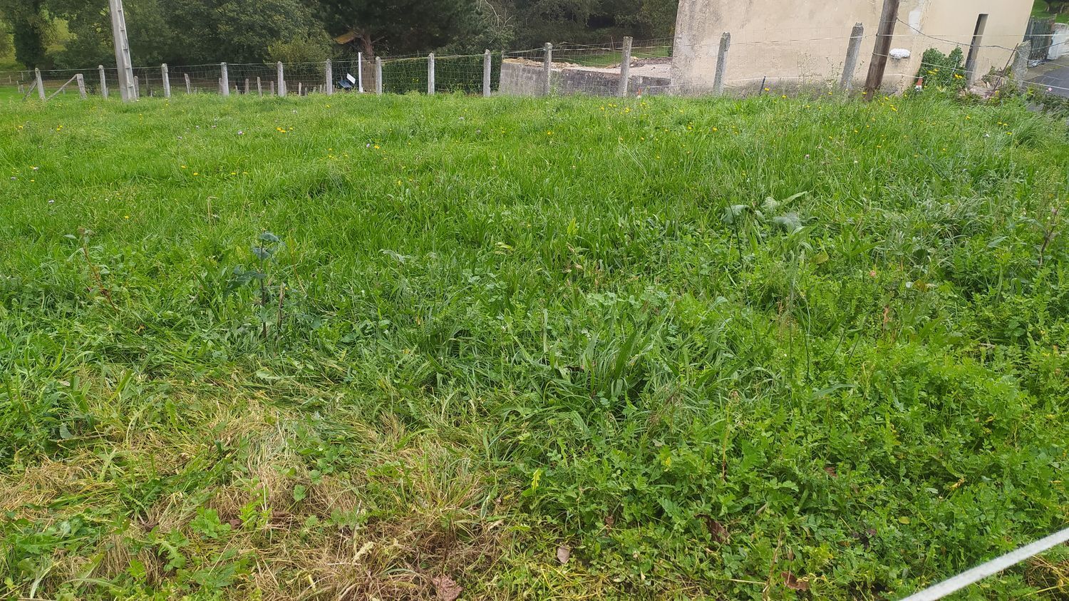 Casas o chalets-Venta-Las Navas del MarquÃ©s-999067-Foto-64