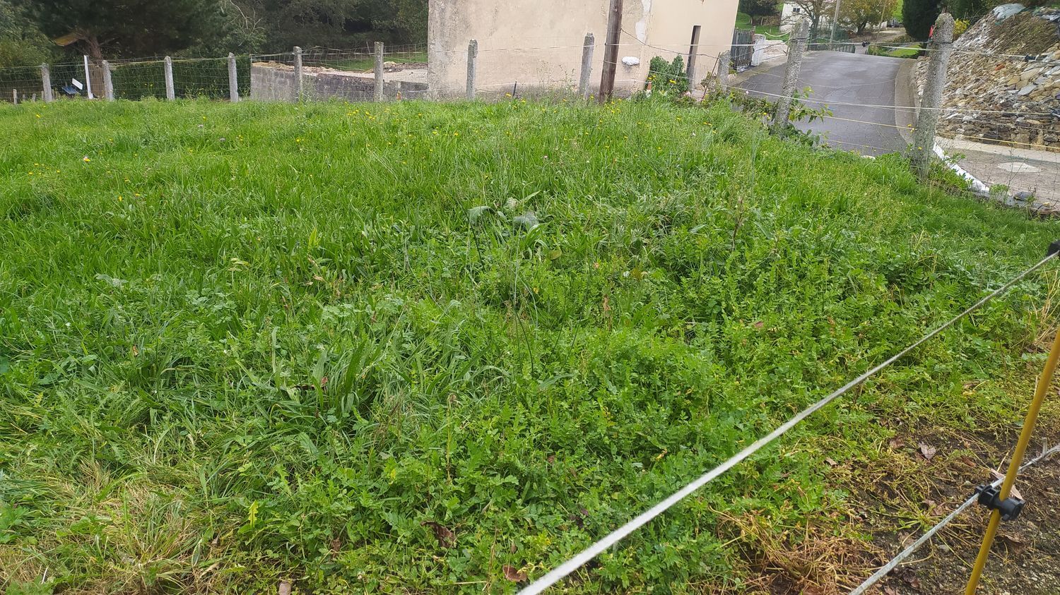 Casas o chalets-Venta-Las Navas del MarquÃ©s-999067-Foto-65