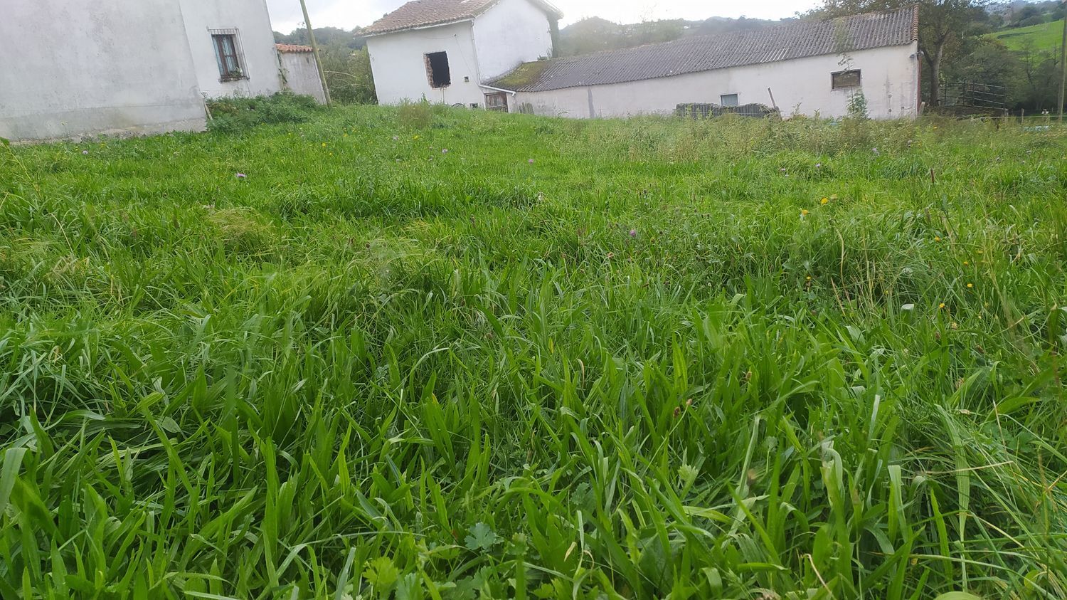 Casas o chalets-Venta-Las Navas del MarquÃ©s-999067-Foto-74