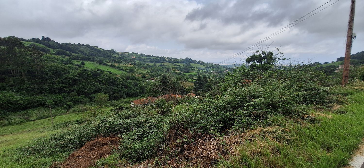 Fincas y solares-Venta-GijÃ³n-1762229-Foto-2