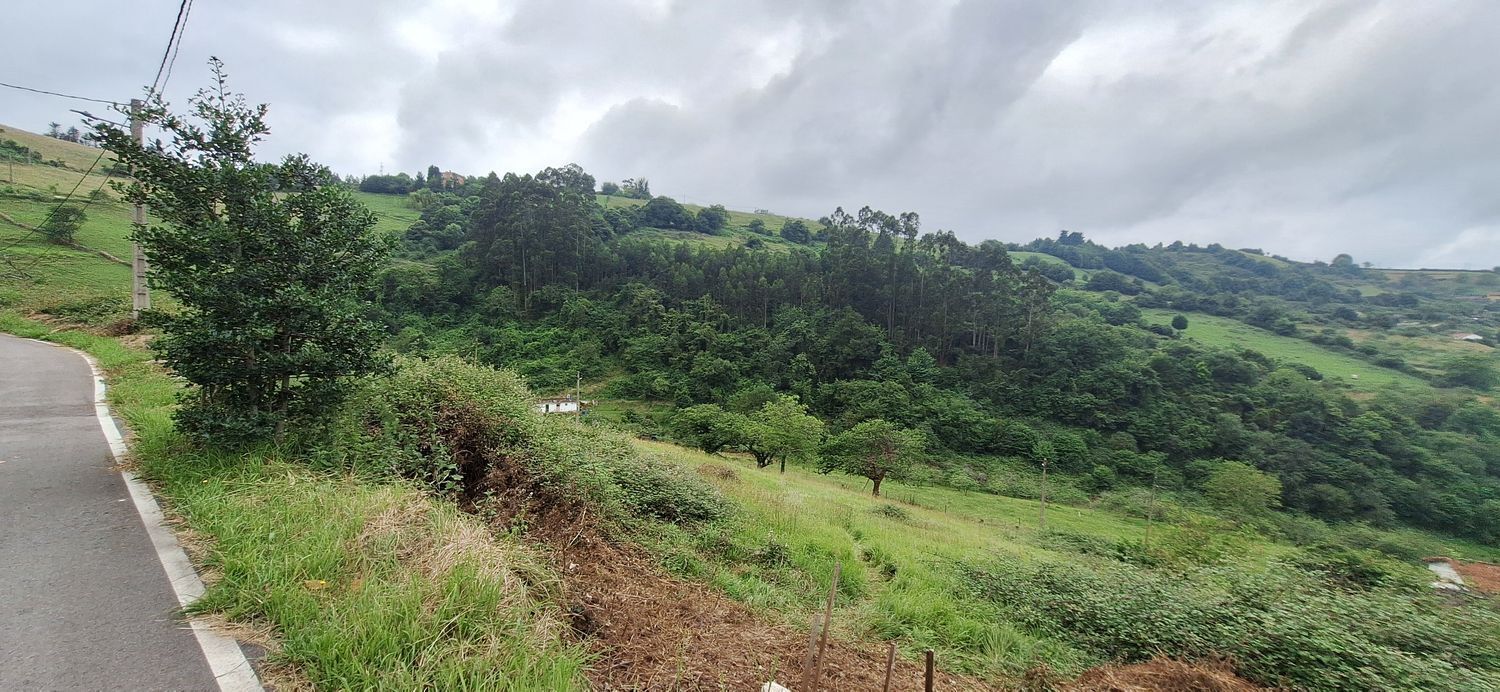 Fincas y solares-Venta-GijÃ³n-1762229-Foto-5