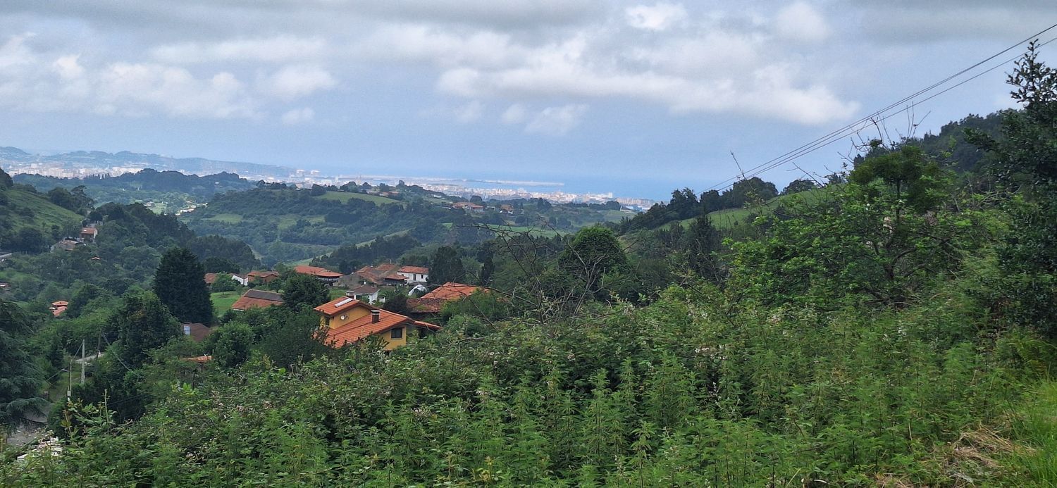 Fincas y solares-Venta-Gijón-1762229