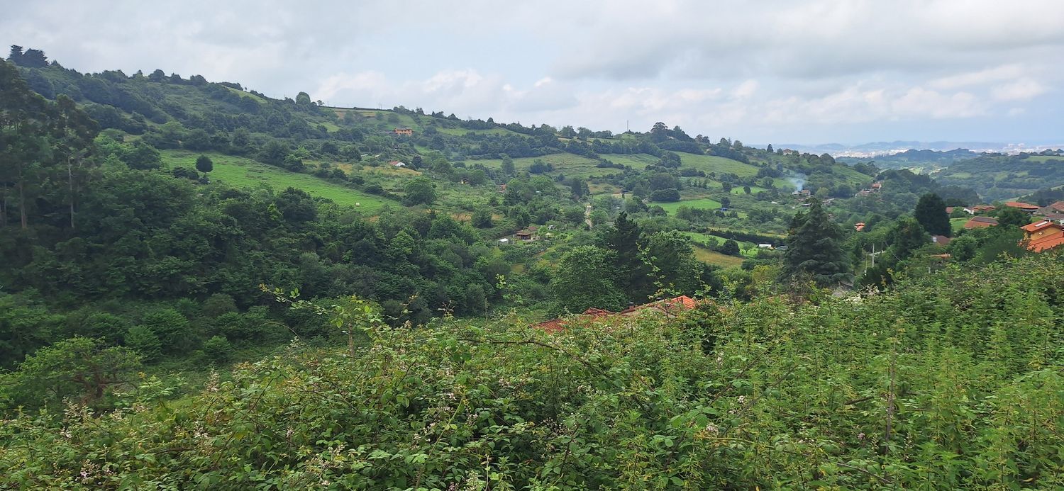 Fincas y solares-Venta-GijÃ³n-1762229-Foto-11