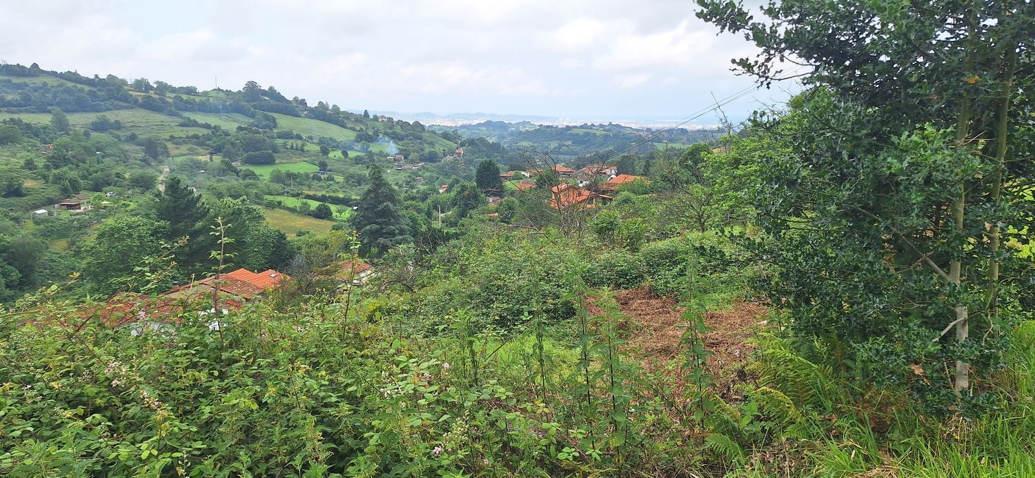 Fincas y solares-Venta-GijÃ³n-1762229-Foto-13