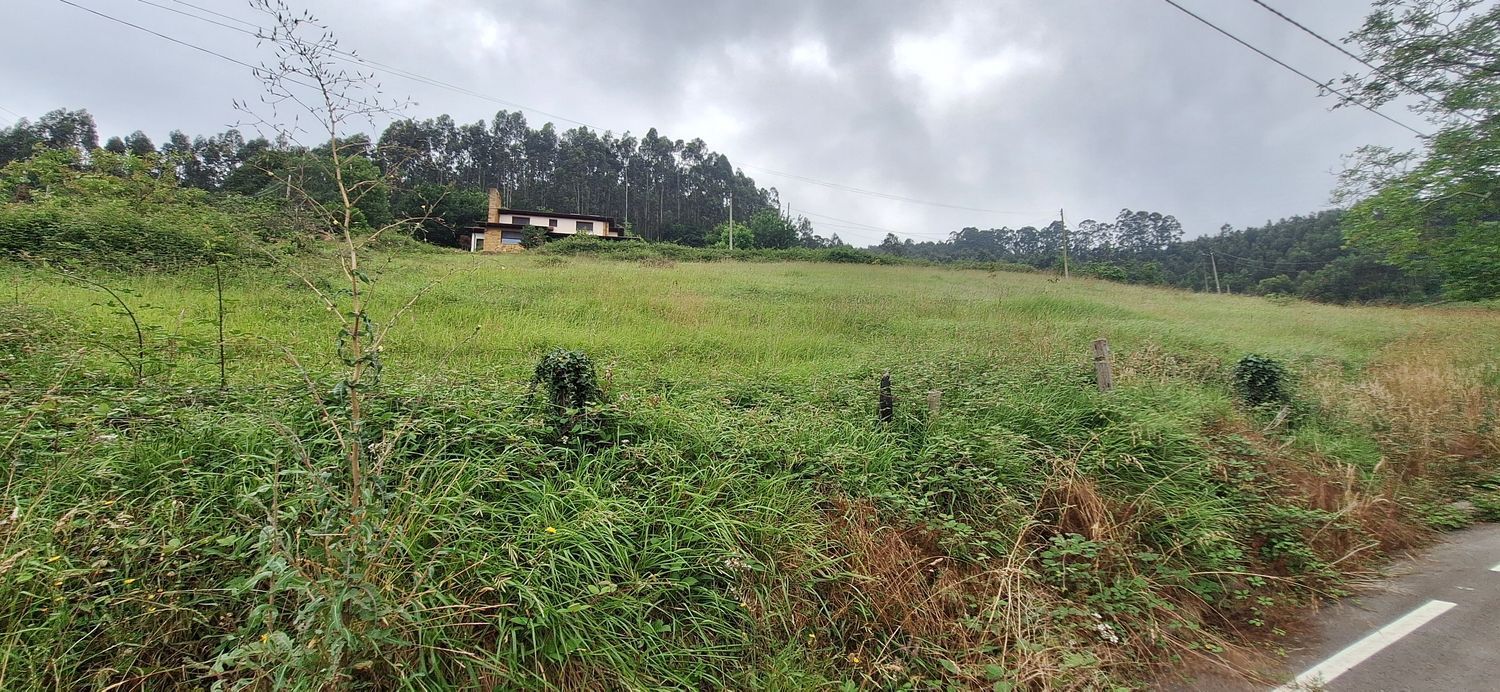 Fincas y solares-Venta-GijÃ³n-1762229-Foto-16