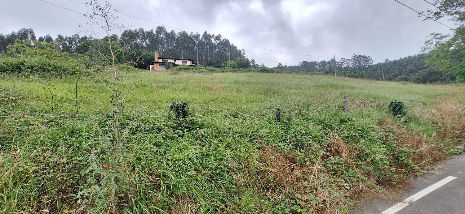 Fincas y solares-Venta-GijÃ³n-1762229-Foto-17