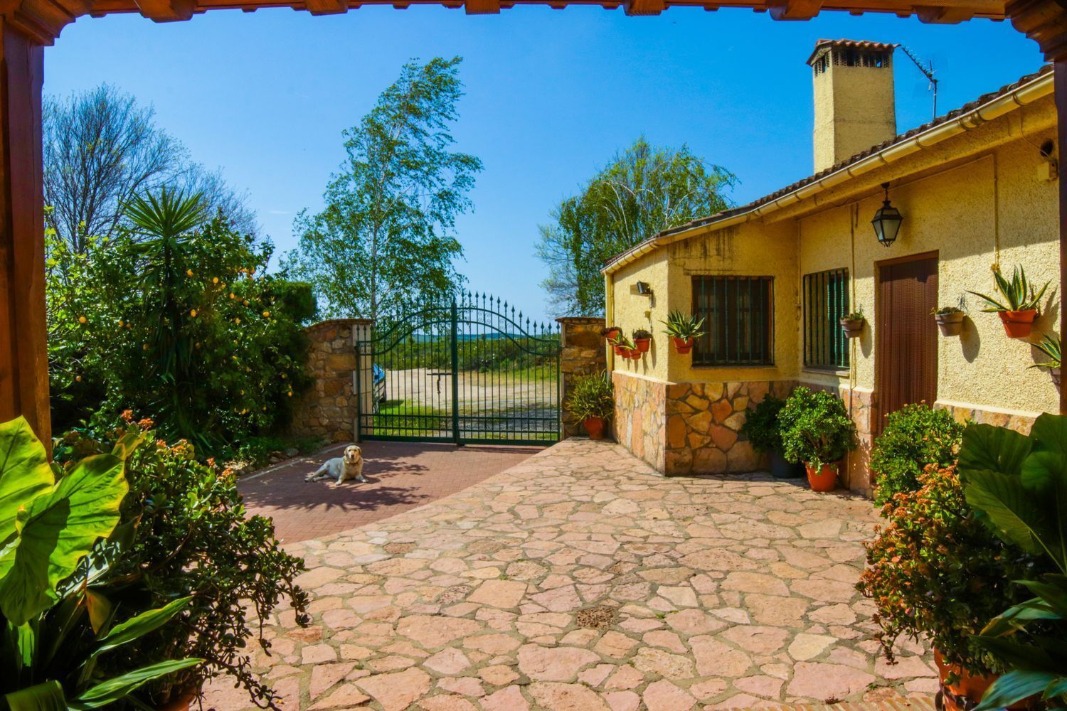 Pisos-Venta-Jarandilla de la Vera-1021033-Foto-9