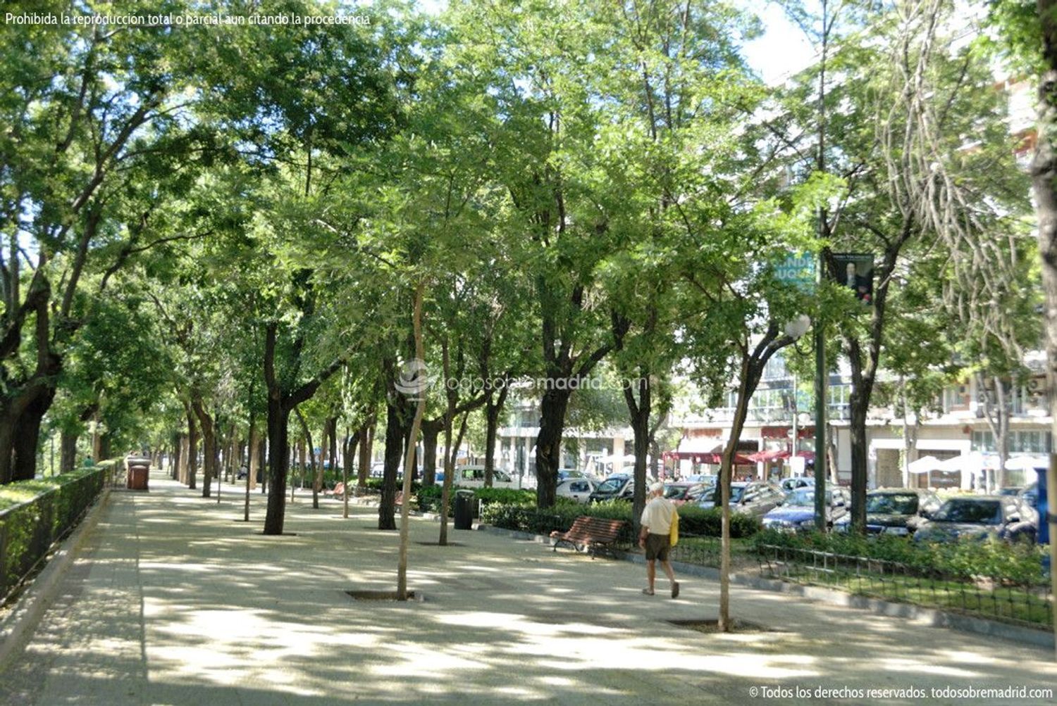 Pisos-Venta-Madrid-1994522-Foto-25