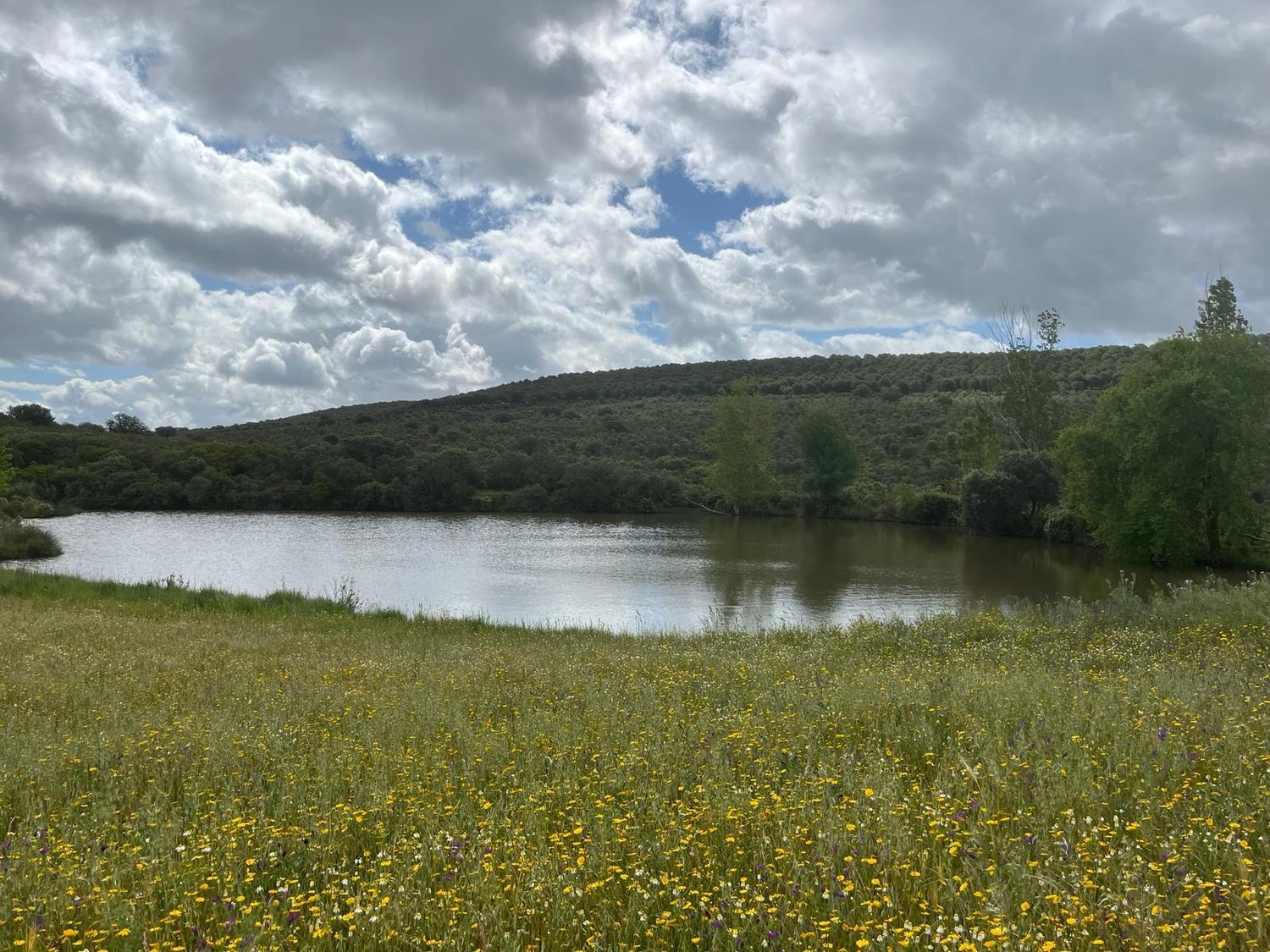 Fincas y solares-Venta-ChillÃ³n-1507555-Foto-2