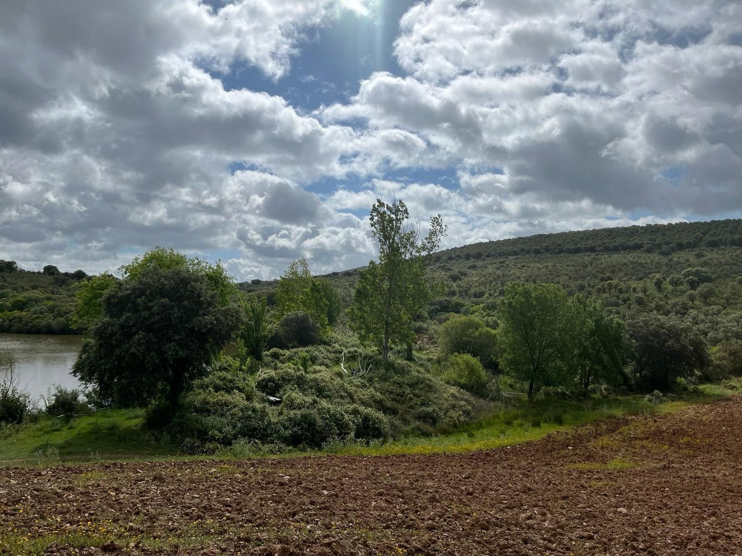 Fincas y solares-Venta-ChillÃ³n-1507555-Foto-3