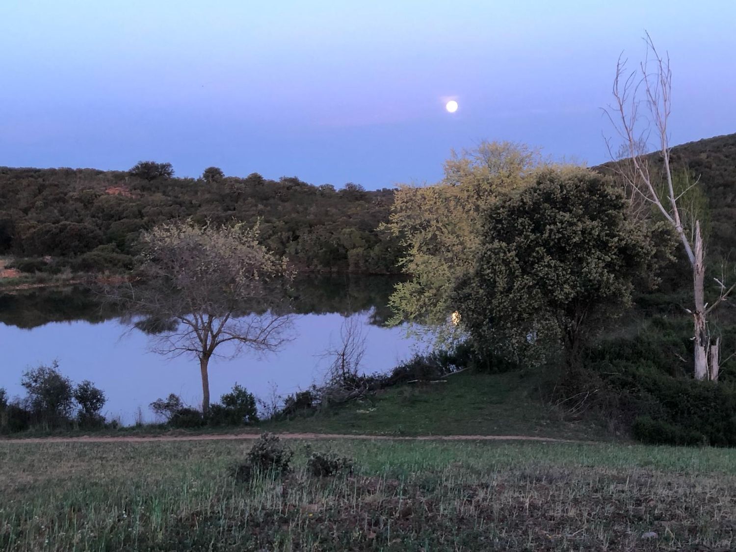 Fincas y solares-Venta-ChillÃ³n-1507555-Foto-5