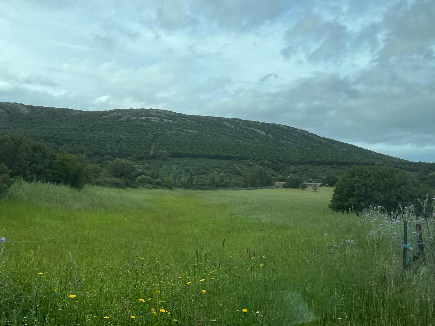 Fincas y solares-Venta-ChillÃ³n-1507555-Foto-9