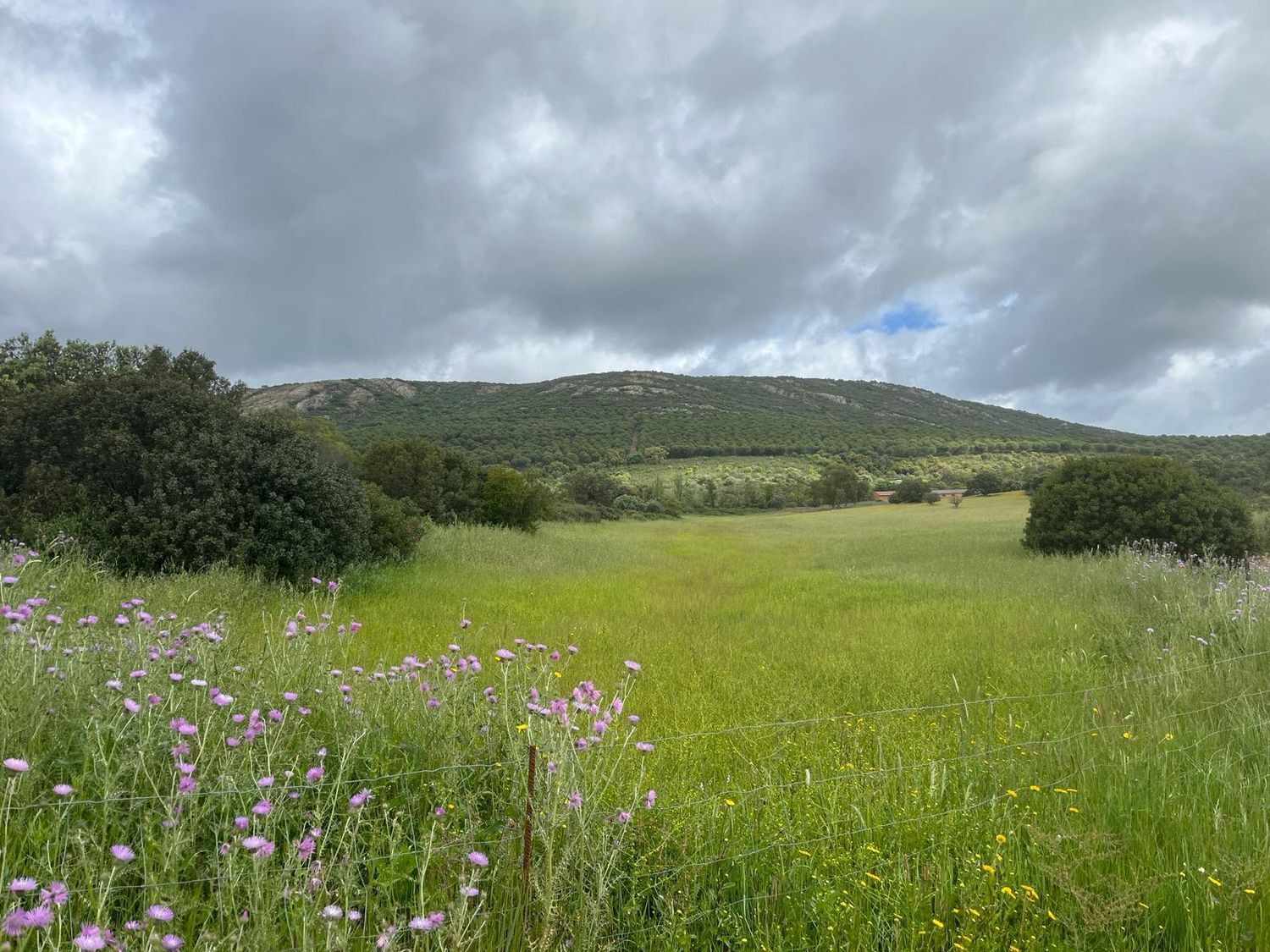 Fincas y solares-Venta-ChillÃ³n-1507555-Foto-29