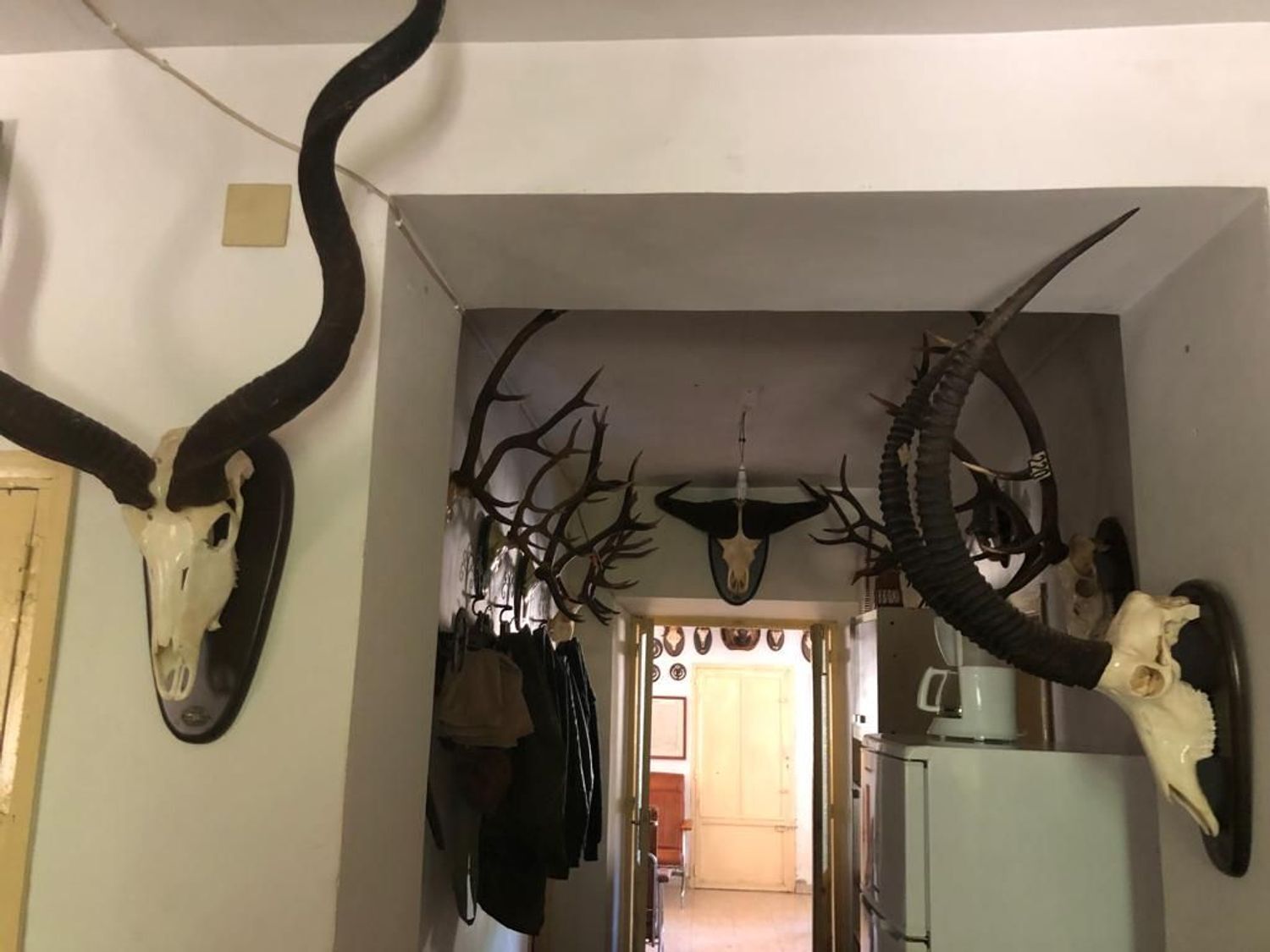 Fincas y solares-Venta-ChillÃ³n-1507555-Foto-44