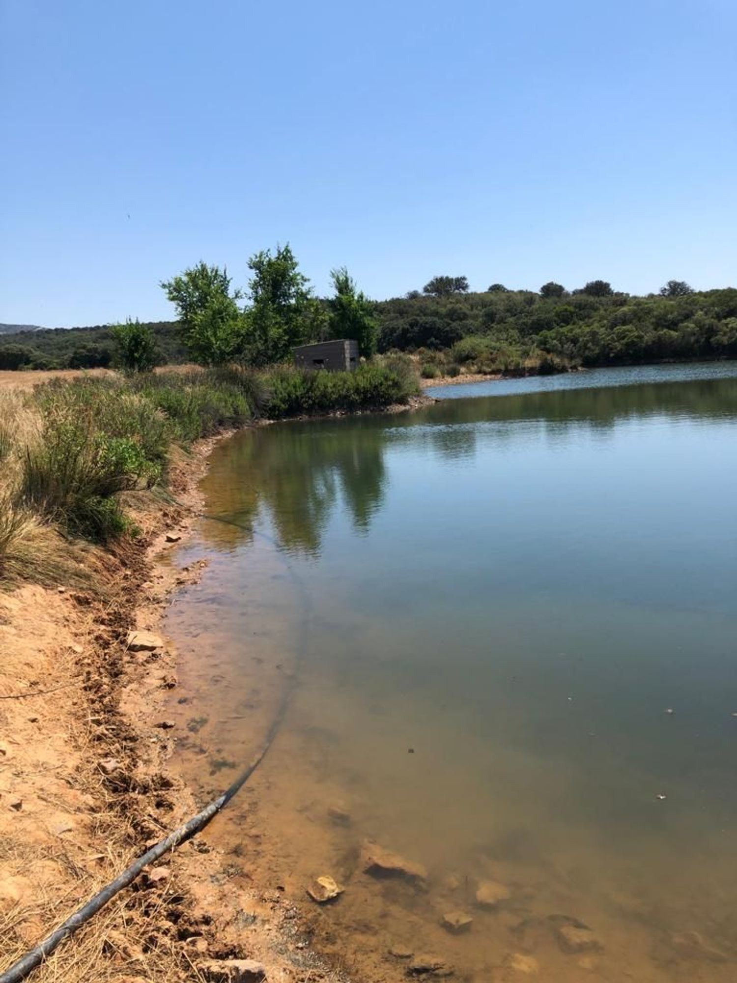 Fincas y solares-Venta-ChillÃ³n-1507555-Foto-46