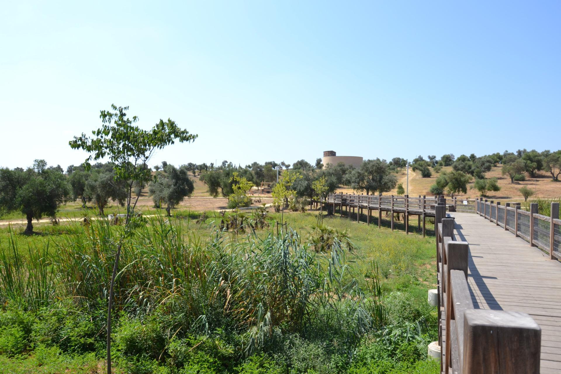 Casas o chalets-Venta-Tomares-1994543-Foto-48