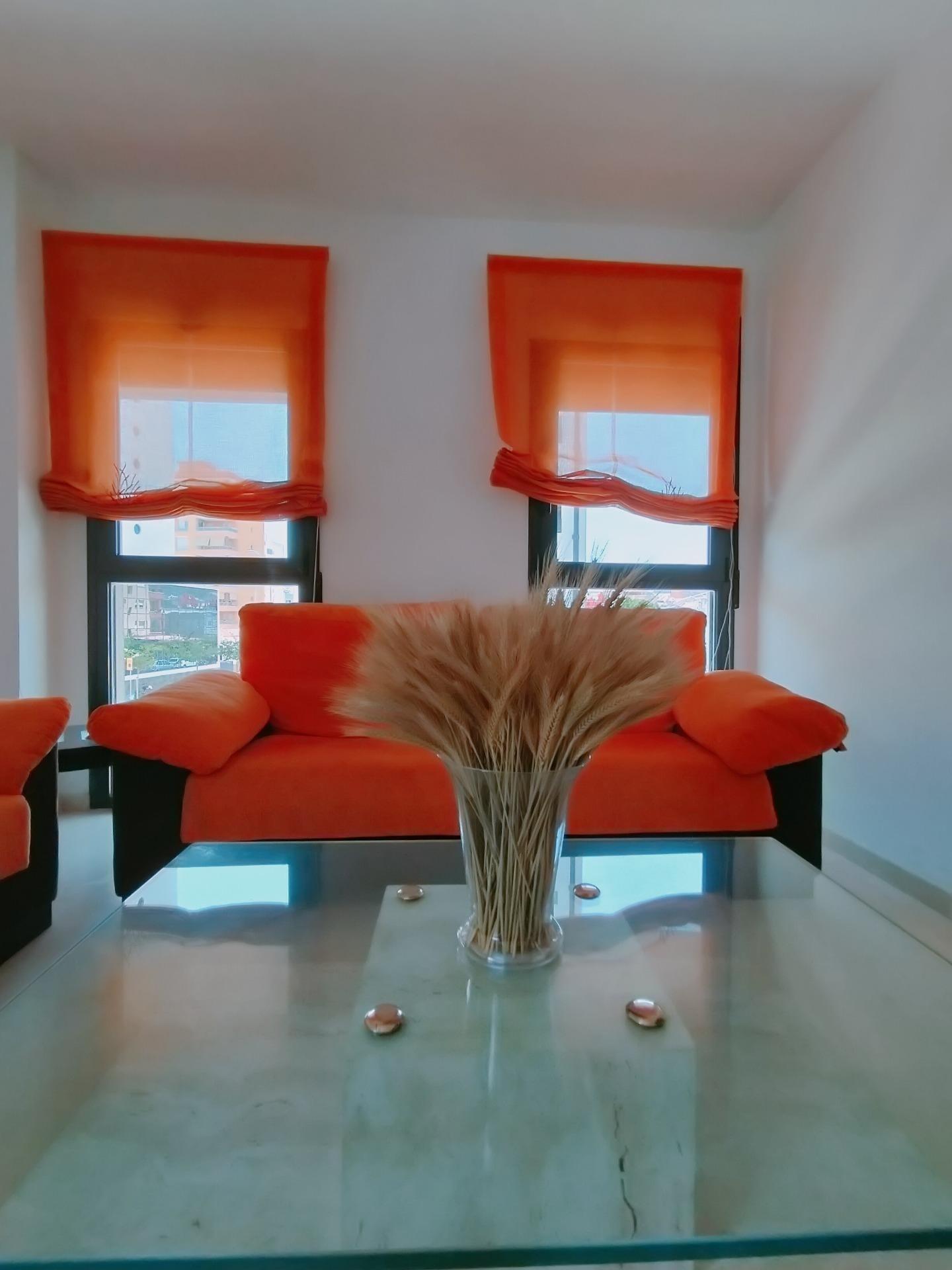 Pisos-Venta-Gandia-1994549-Foto-9