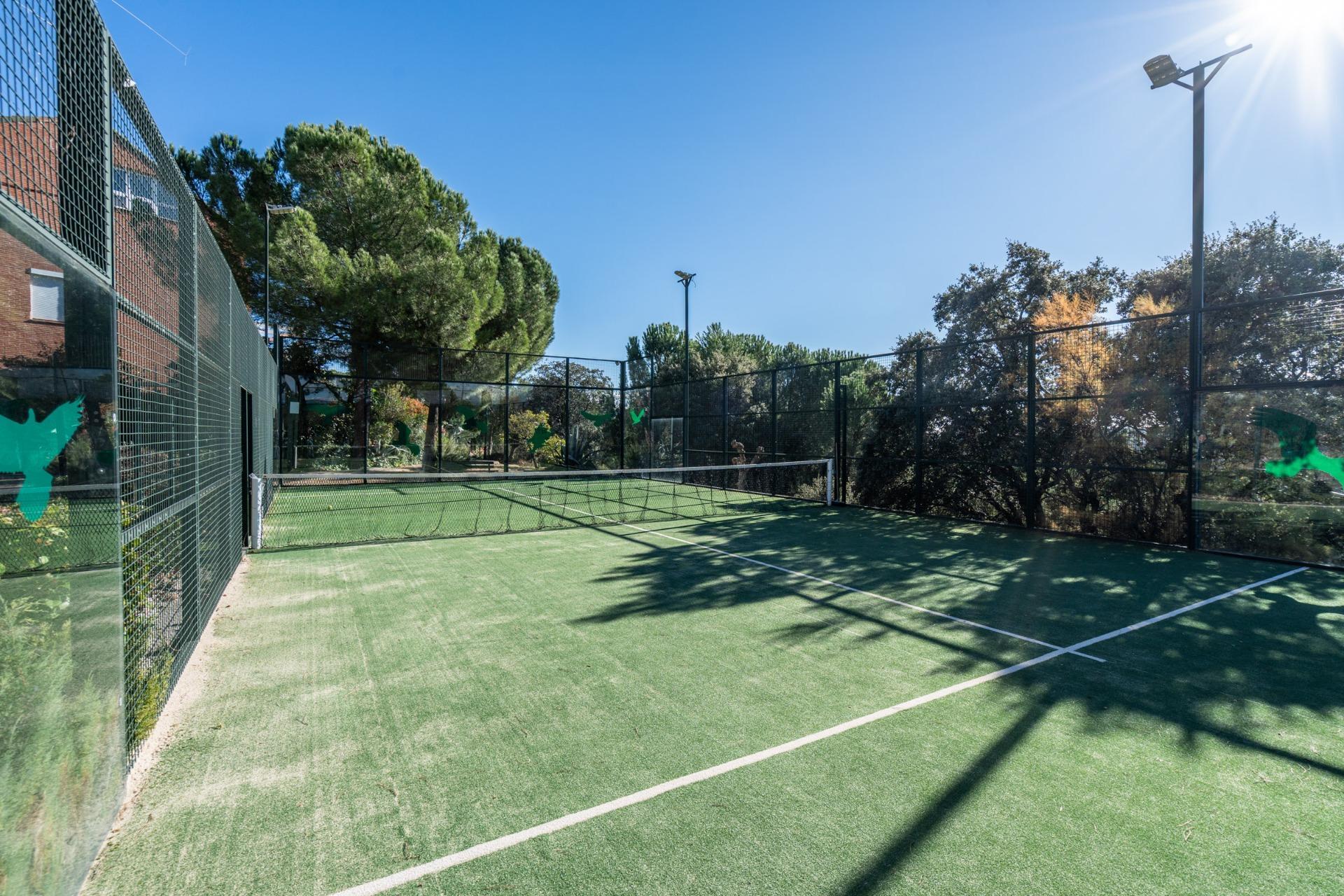 Casas o chalets-Venta-Galapagar-1993610-Foto-4