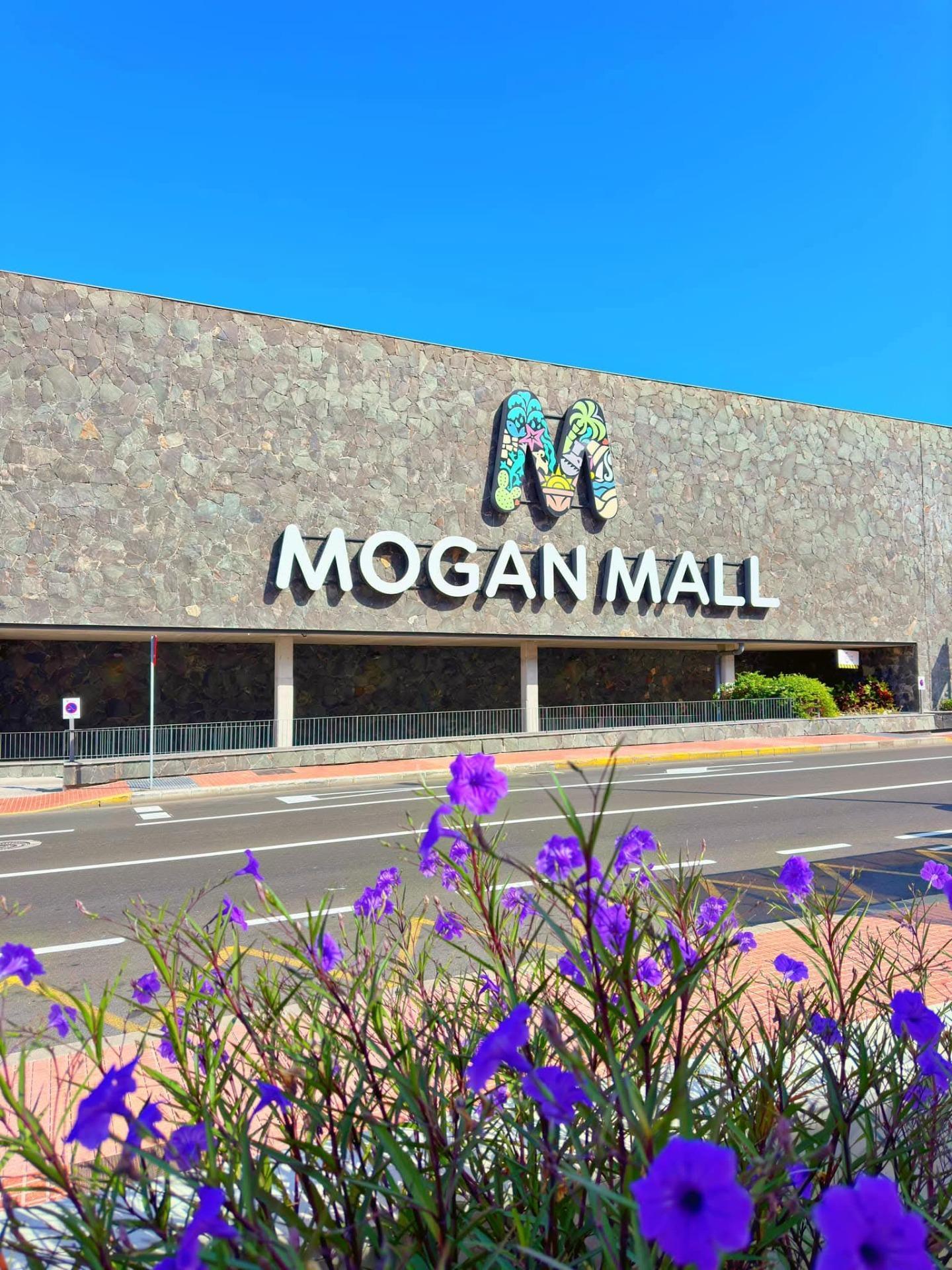 Casas o chalets-Venta-MogÃ¡n-1994555-Foto-45