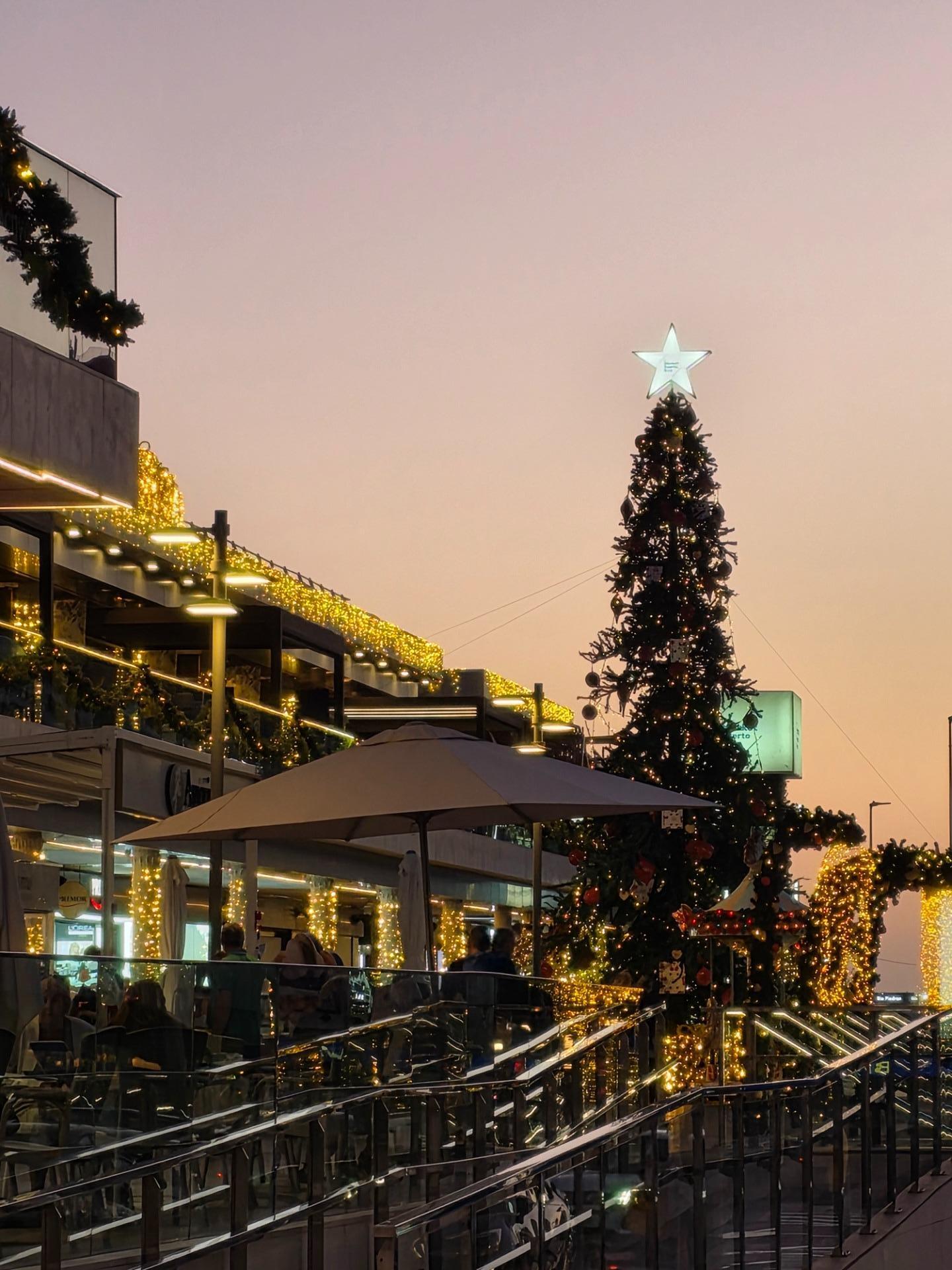 Casas o chalets-Venta-MogÃ¡n-1994555-Foto-48