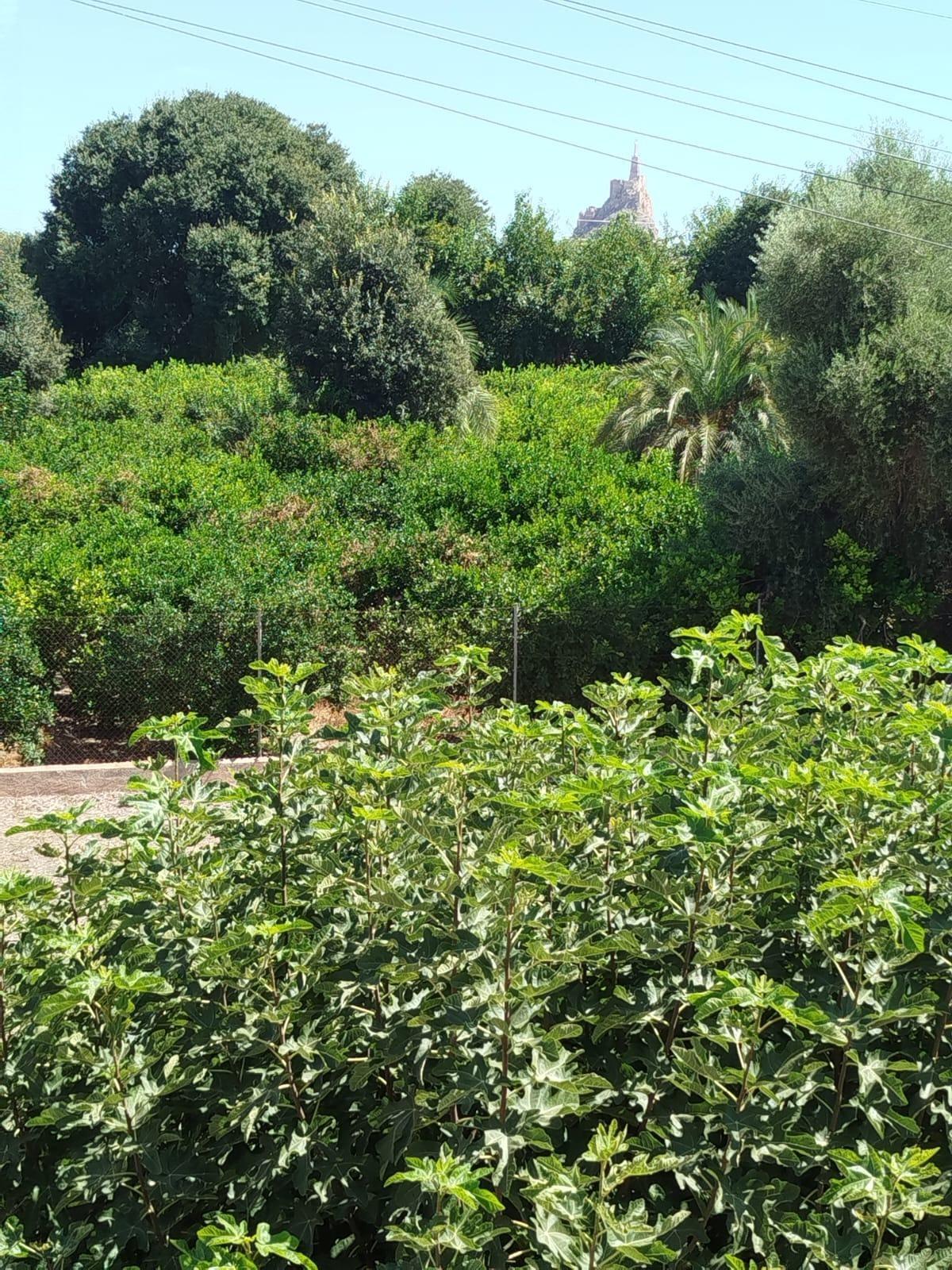 Casas o chalets-Venta-Murcia-1838087-Foto-27