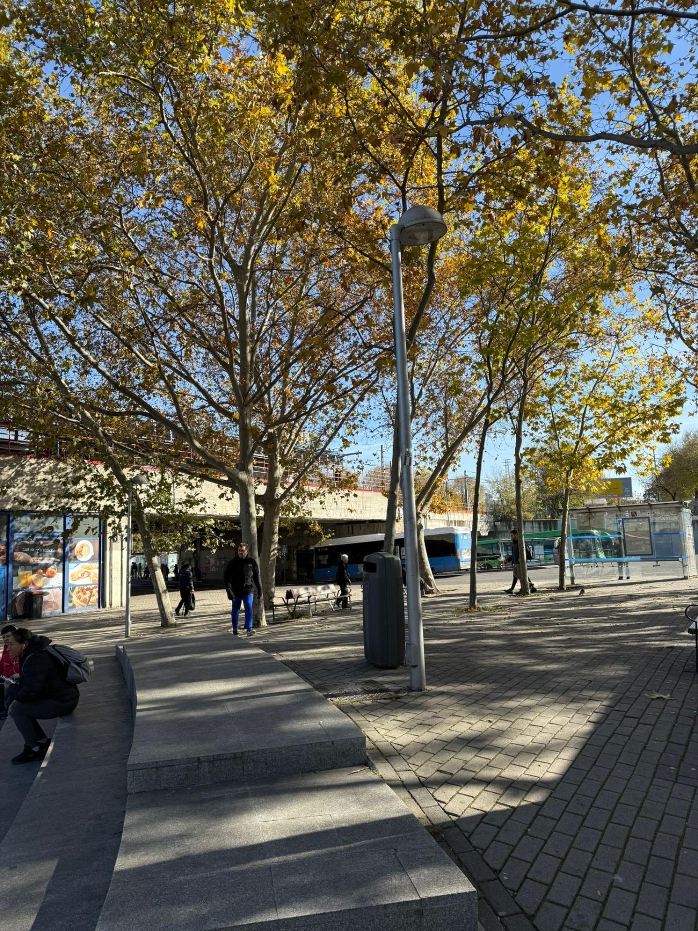 Negocios-Venta-Madrid-1994576-Foto-26