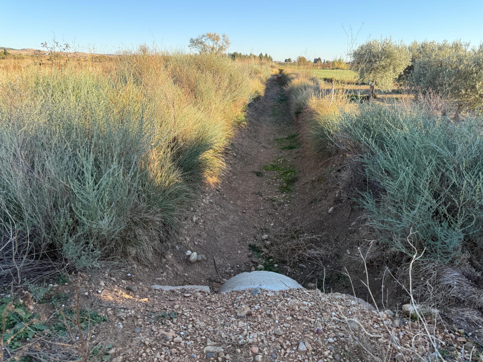 Fincas y solares-Venta-Villamayor de GÃ¡llego-1995168-Foto-2