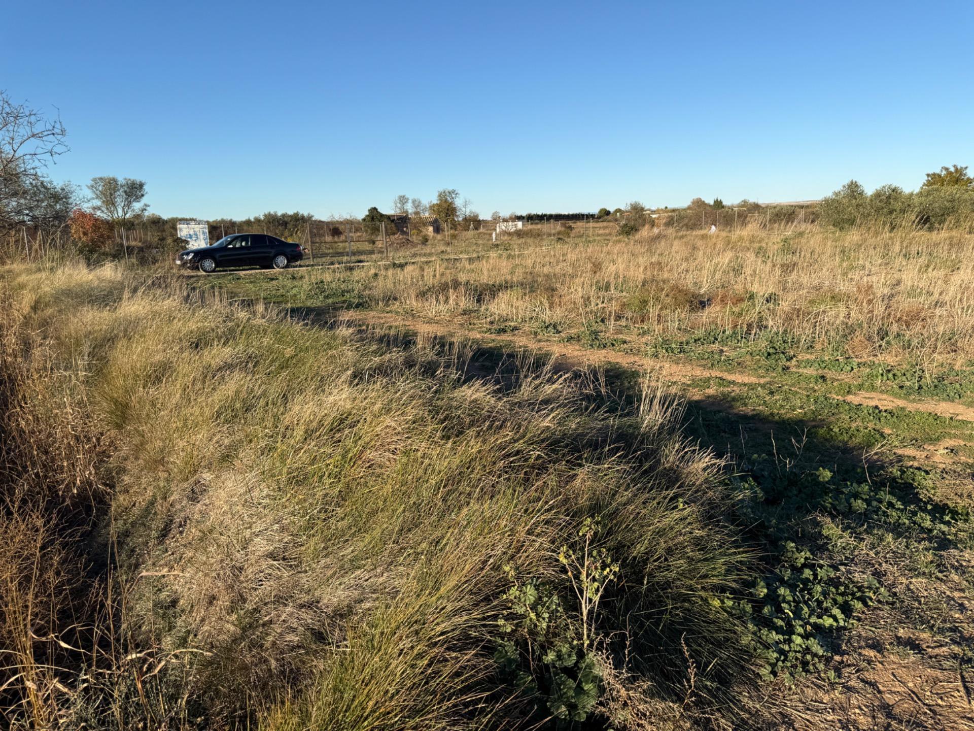 Fincas y solares-Venta-Villamayor de GÃ¡llego-1995168-Foto-3