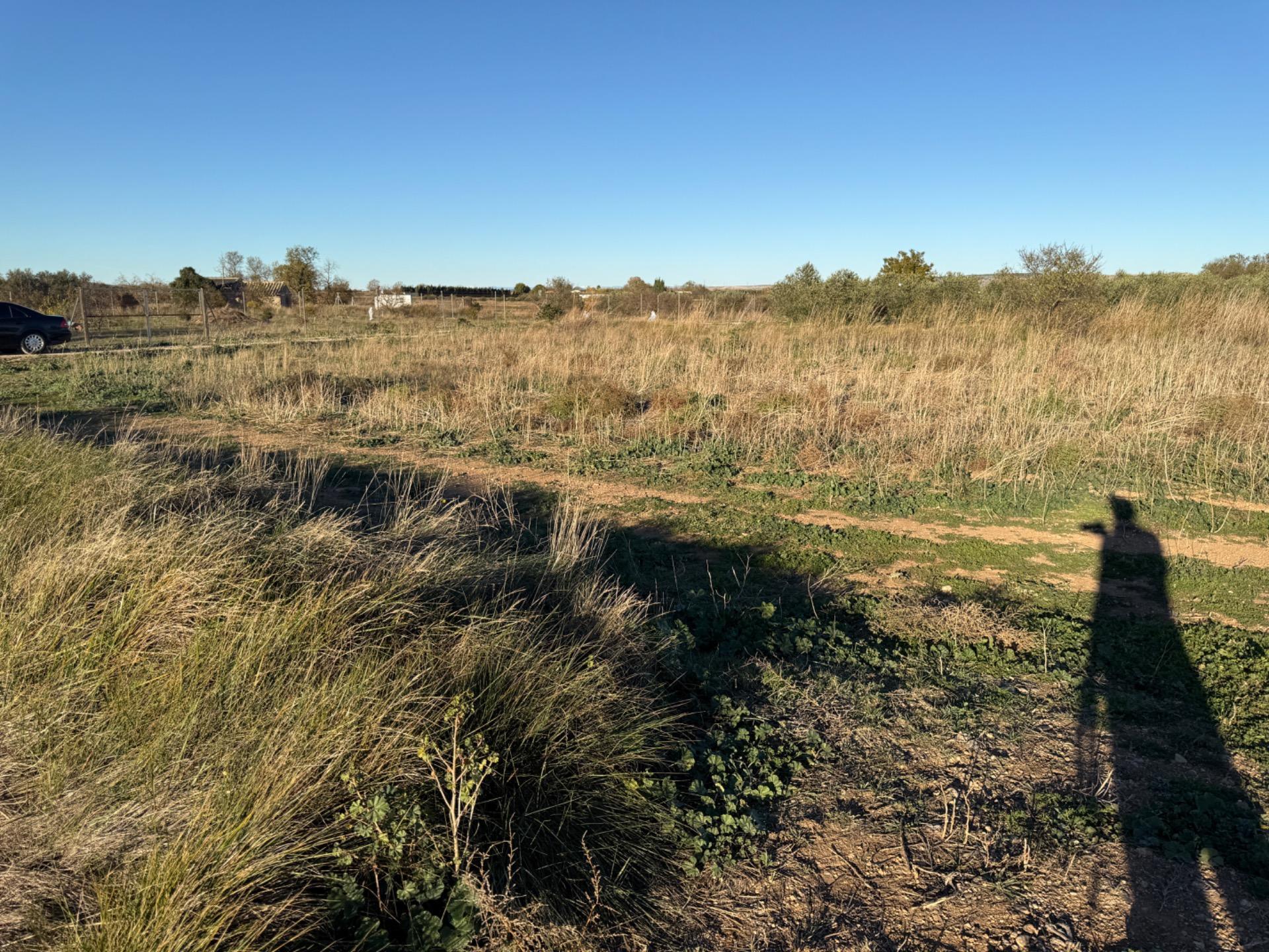 Fincas y solares-Venta-Villamayor de GÃ¡llego-1995168-Foto-4