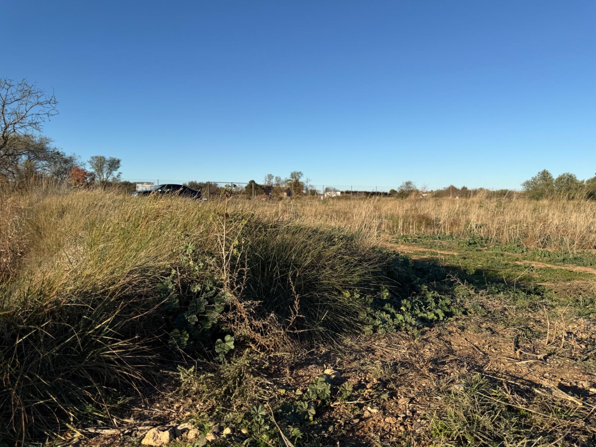 Fincas y solares-Venta-Villamayor de GÃ¡llego-1995168-Foto-7