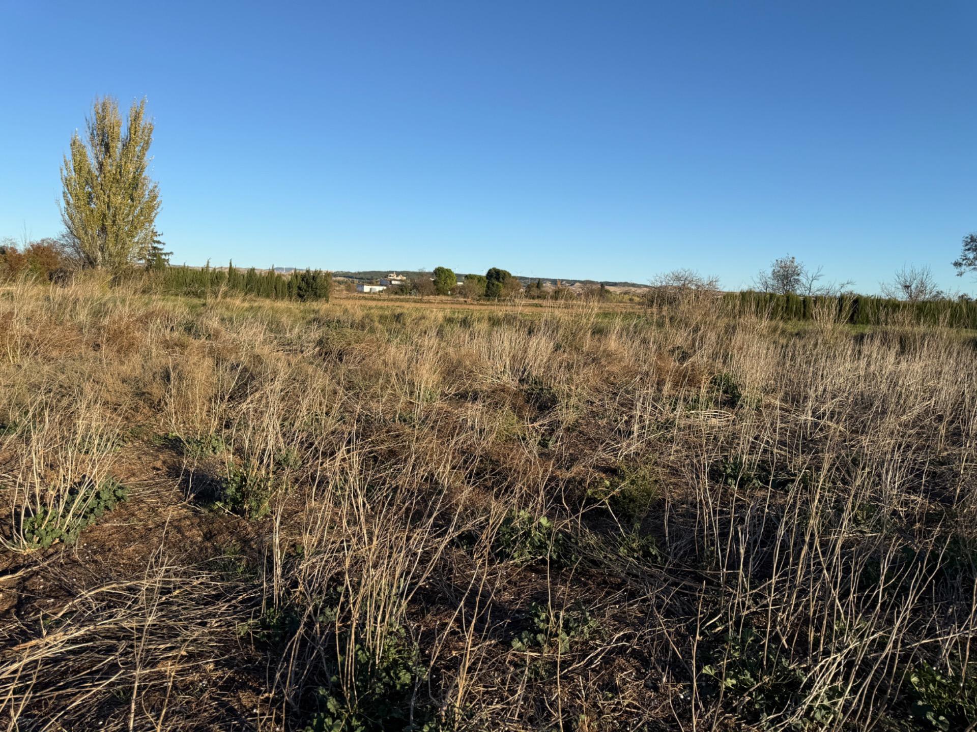 Fincas y solares-Venta-Villamayor de GÃ¡llego-1995168-Foto-8