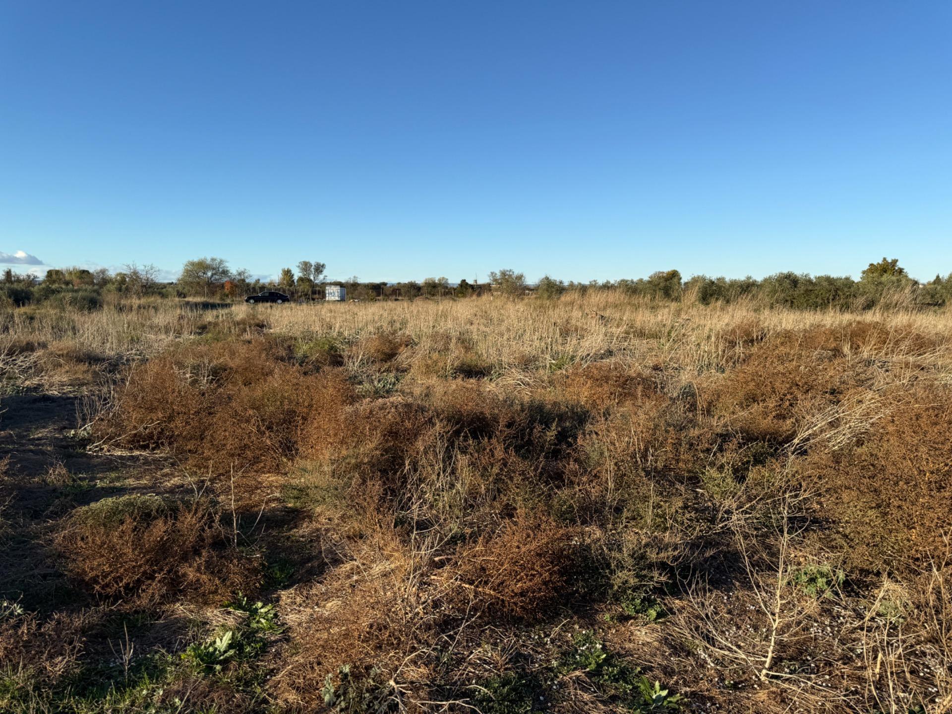 Fincas y solares-Venta-Villamayor de GÃ¡llego-1995168-Foto-12