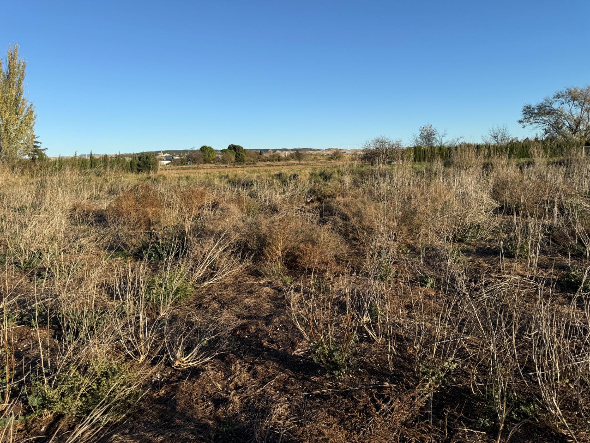 Fincas y solares-Venta-Villamayor de GÃ¡llego-1995168-Foto-9