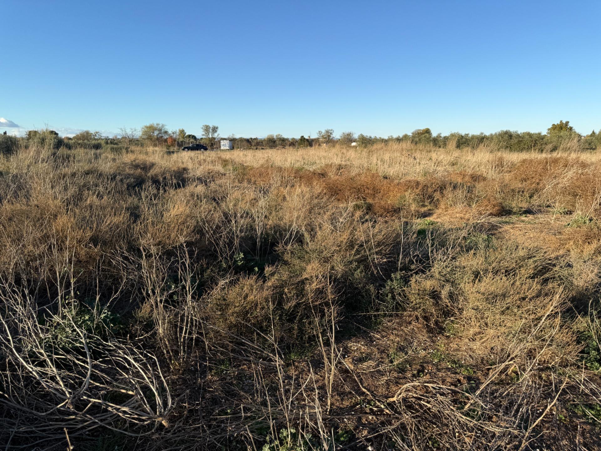 Fincas y solares-Venta-Villamayor de GÃ¡llego-1995168-Foto-10