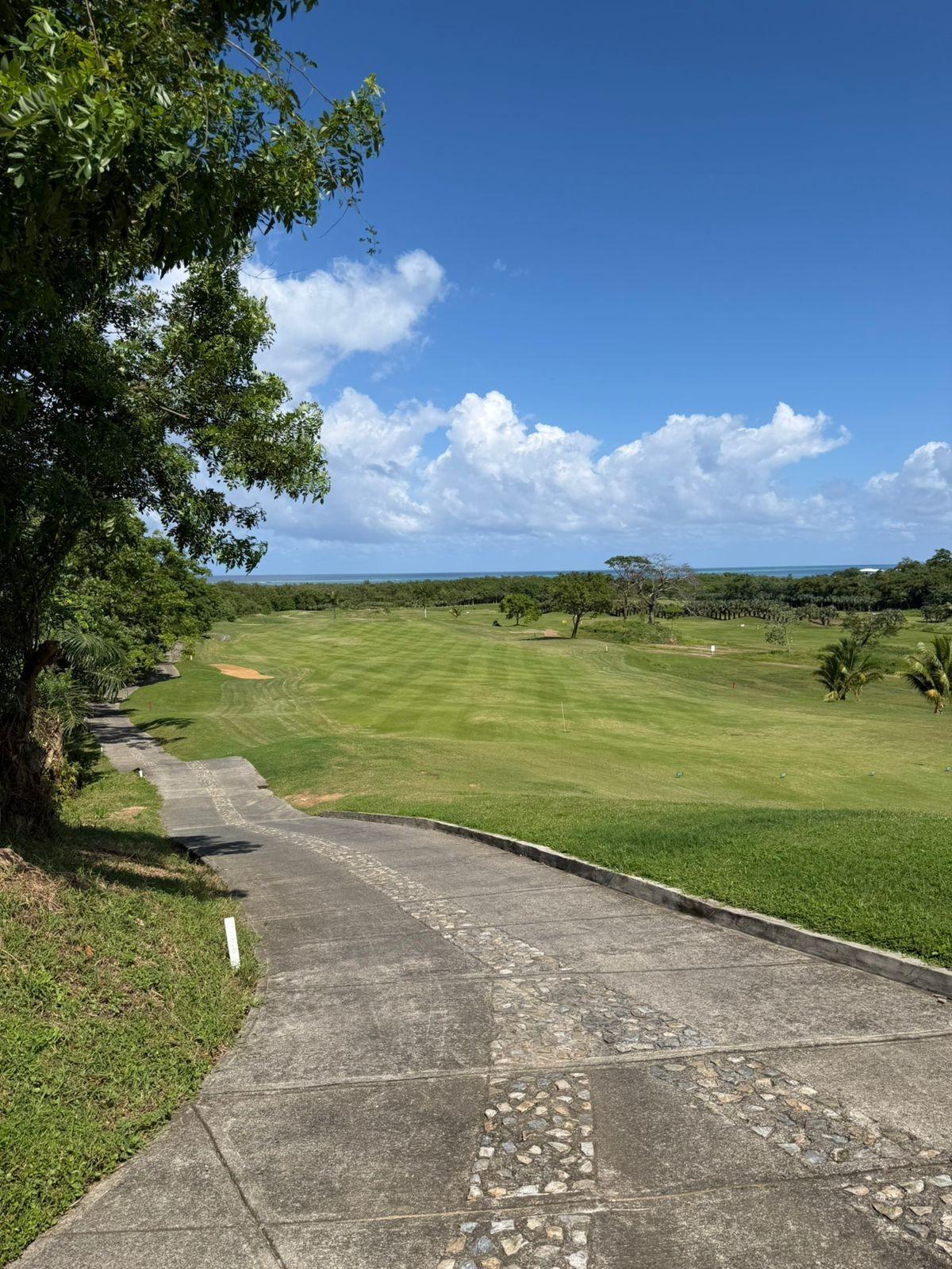 Fincas y solares-Venta-RoatÃ¡n-2009903-Foto-6
