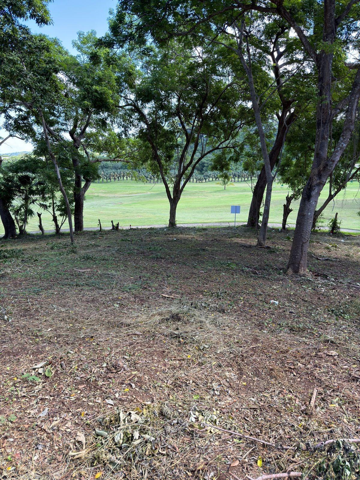 Fincas y solares-Venta-RoatÃ¡n-2009903-Foto-7