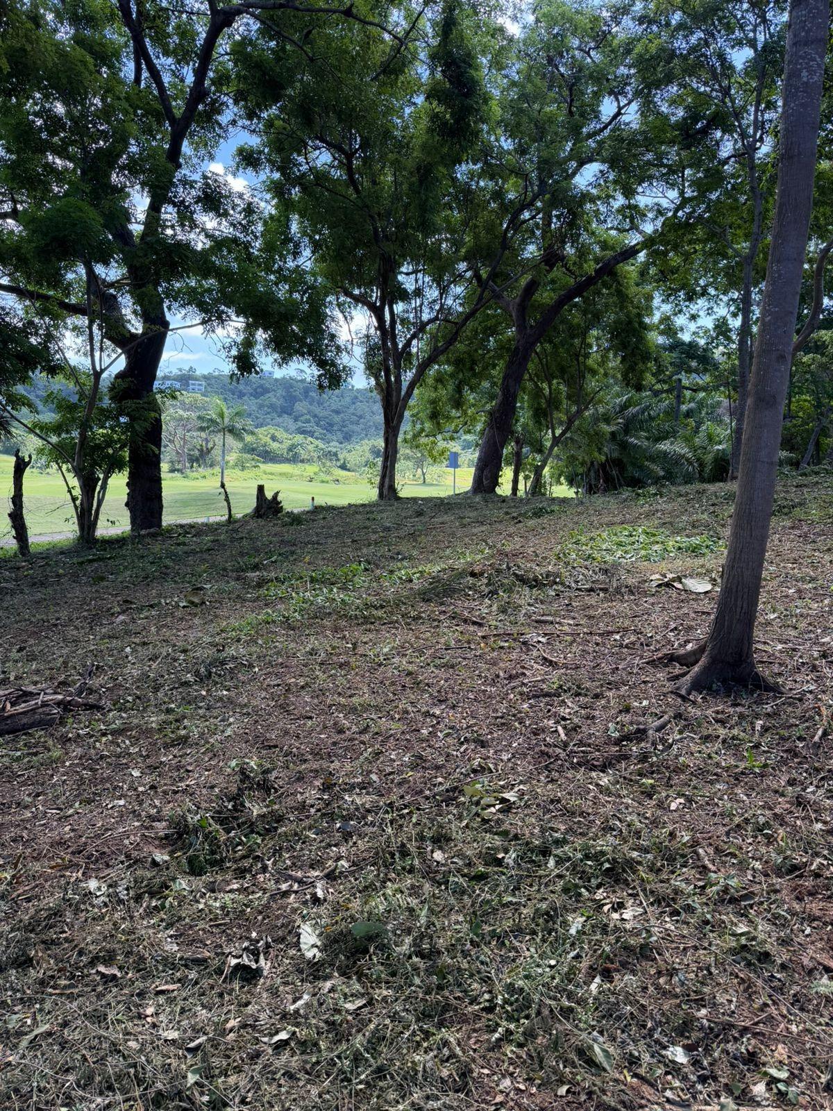 Fincas y solares-Venta-RoatÃ¡n-2009903-Foto-8