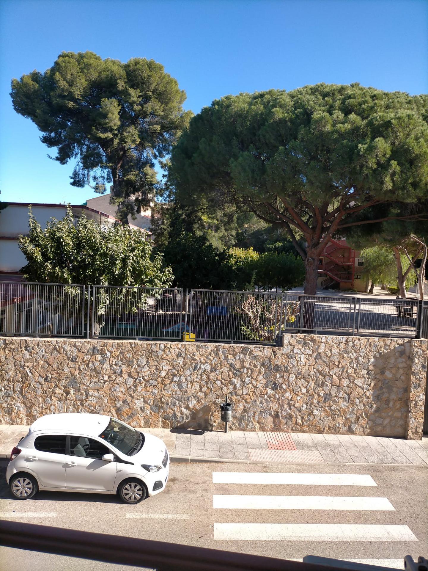 Pisos-Venta-Orihuela-2089348-Foto-19