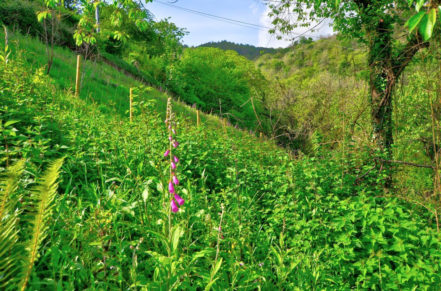 Casas o chalets-Venta-San MartÃ­n del Rey Aurelio-1731775-Foto-29