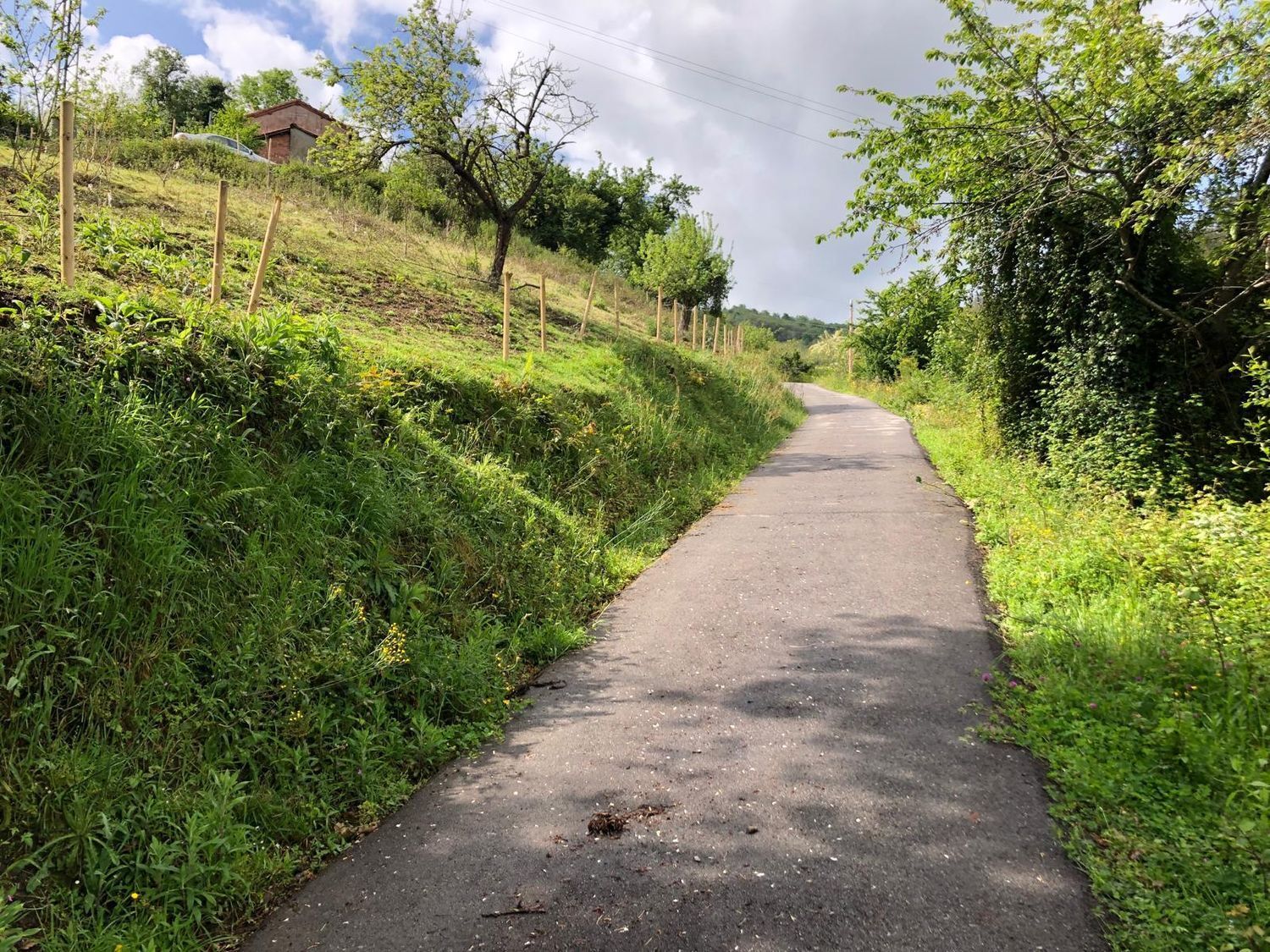 Casas o chalets-Venta-San MartÃ­n del Rey Aurelio-1731775-Foto-48