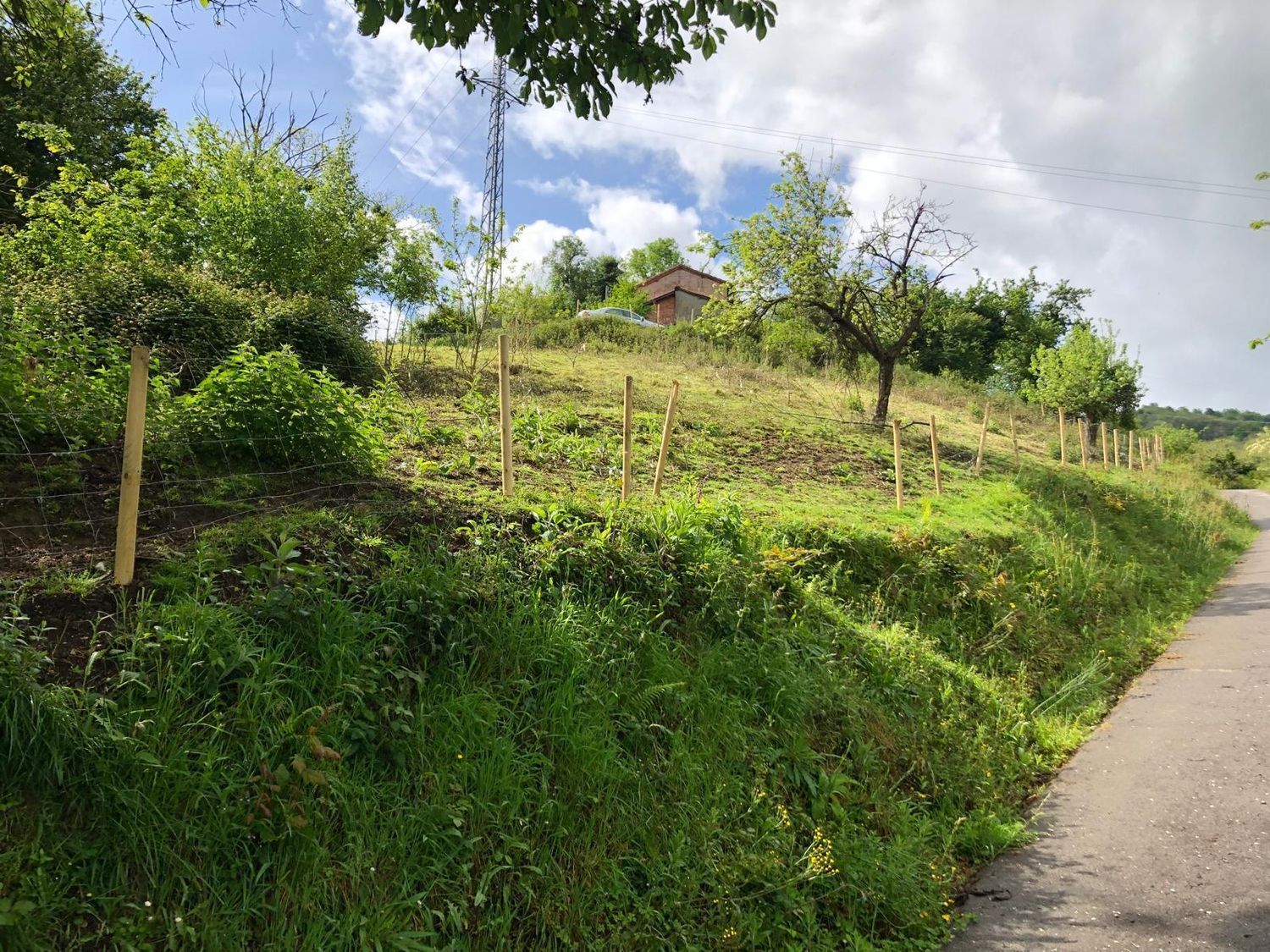 Casas o chalets-Venta-San MartÃ­n del Rey Aurelio-1731775-Foto-52